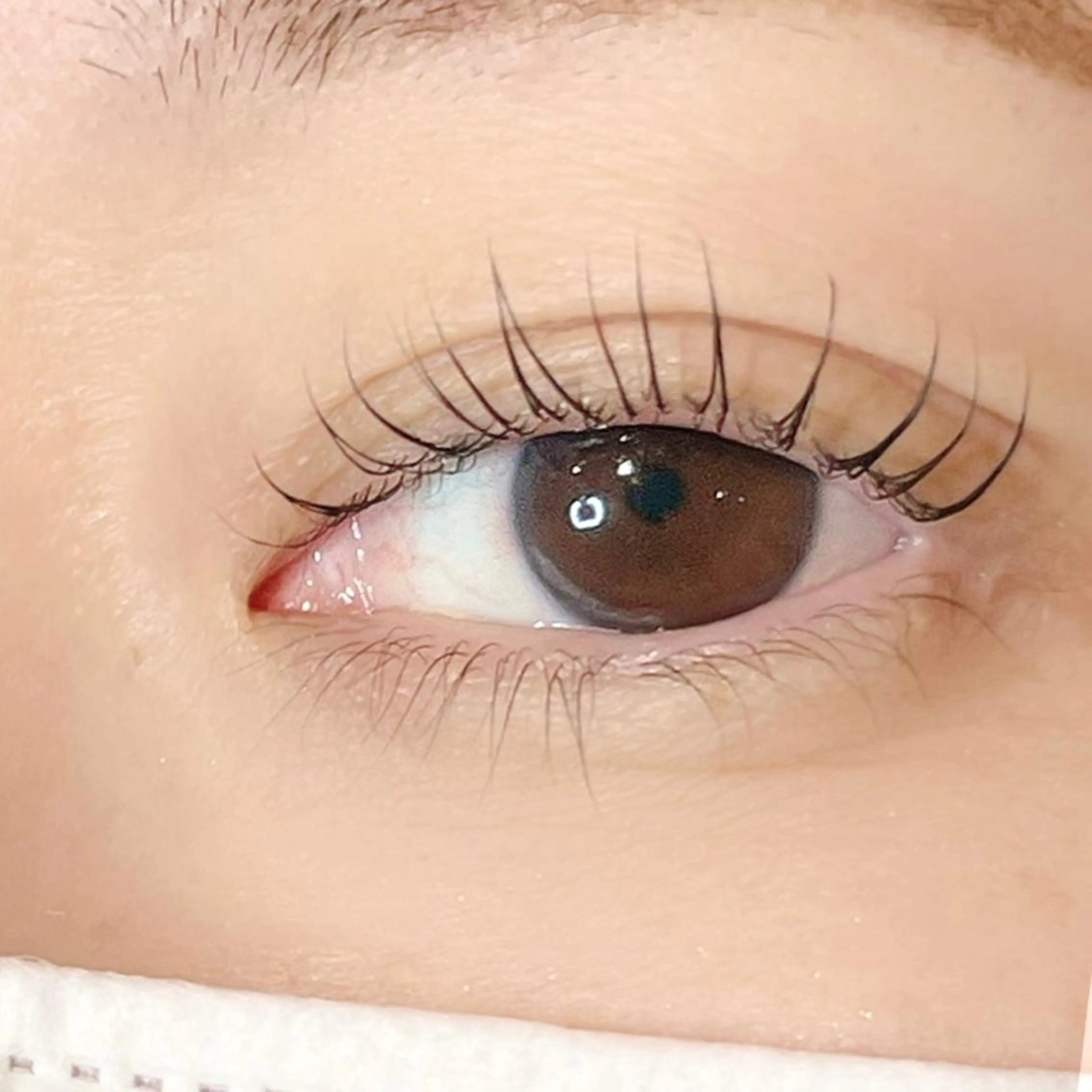 マツエク・マツパ 一重×まつ毛パーマ マツパ eyelash LOOPのマツエク・マツパデザイン