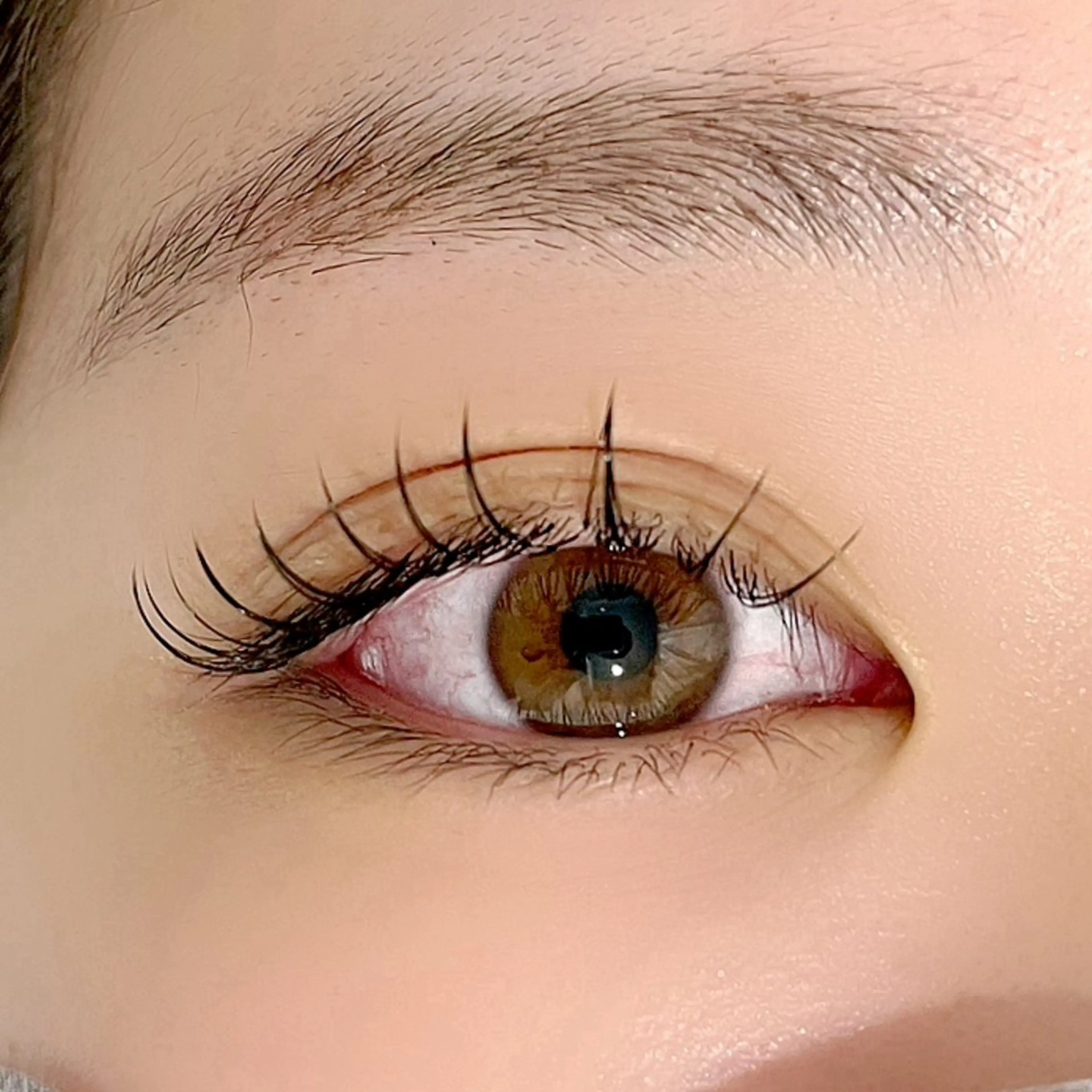 🌼高級セーブル100本🌼オフ・コーディング込み👀✨の写真