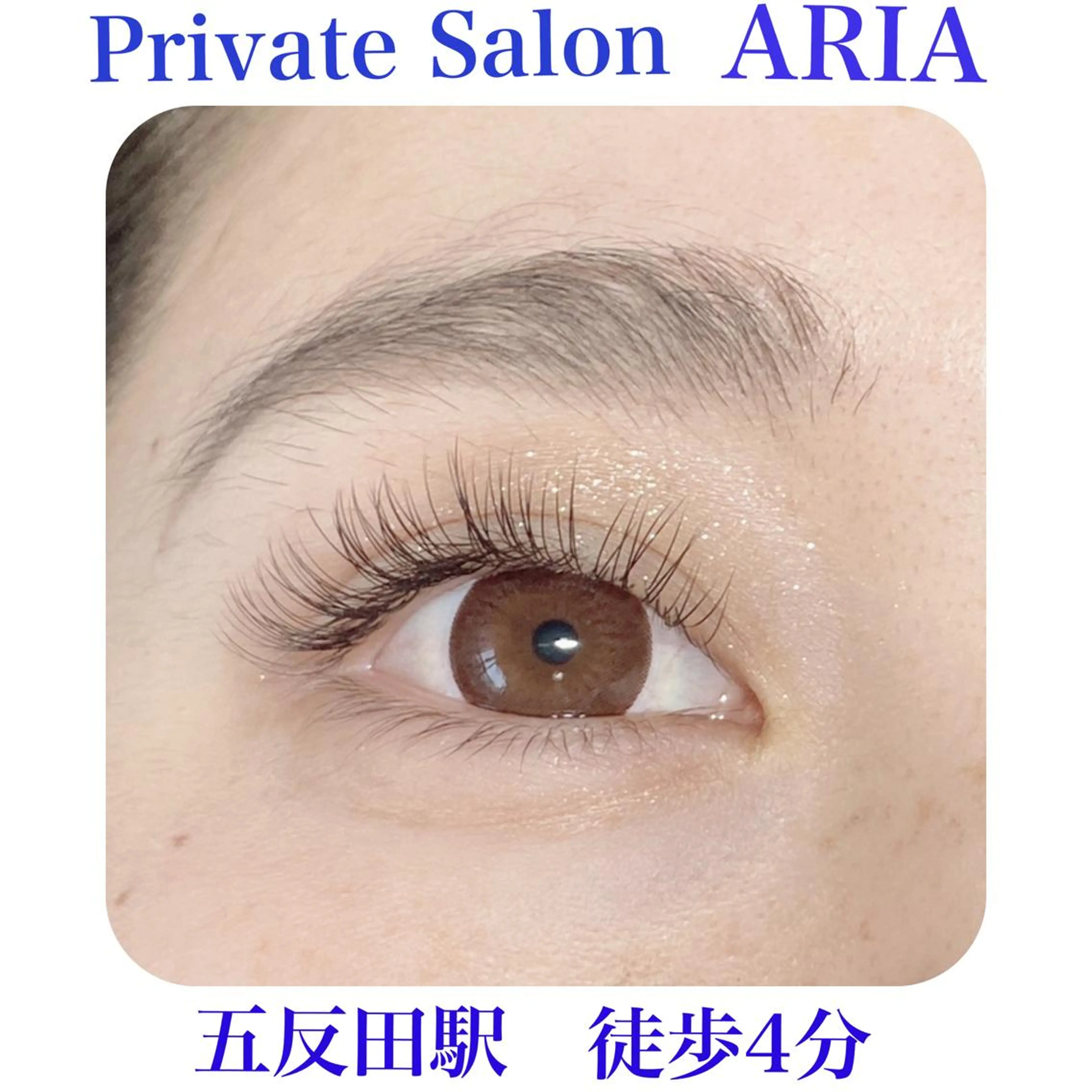 マツエク・マツパ カラーマツエク フラットラッシュ ナチュラル ARIA所属・ARIAプライベート サロン五反田のマツエク・マツパデザイン