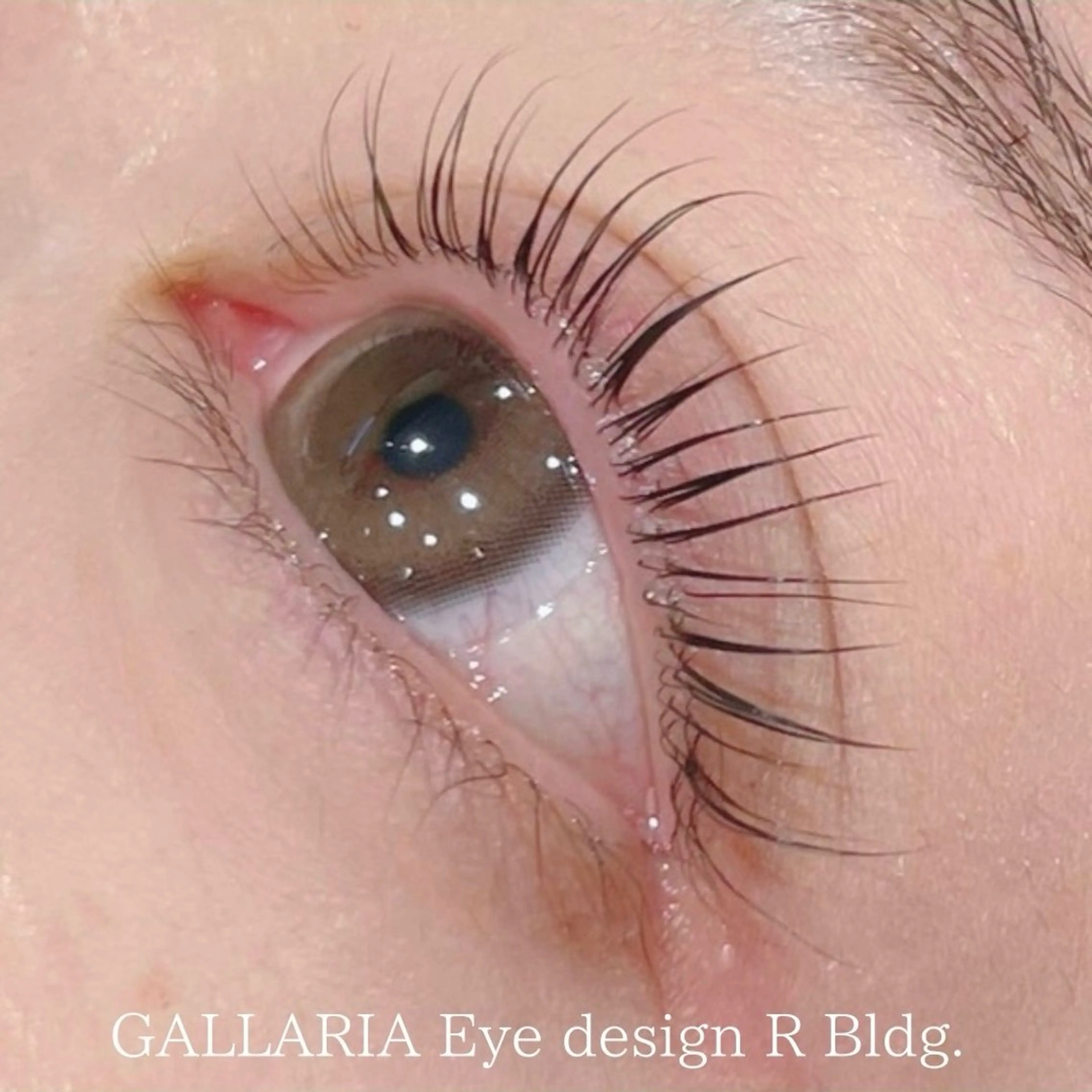 マツエク・マツパ GALLARIA   Eye design所属・GALLARIA mayuのマツエク・マツパデザイン