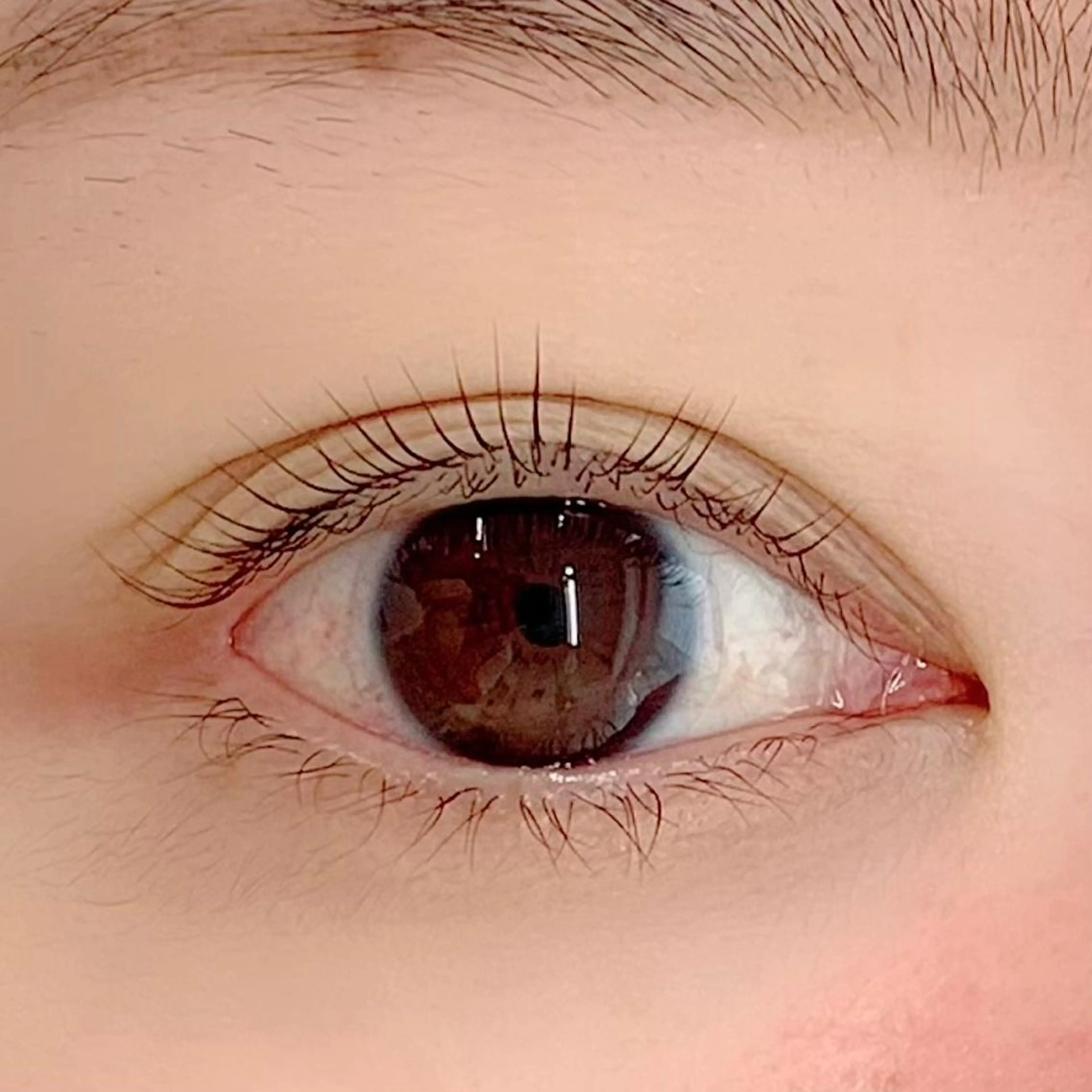 マツエク・マツパ パリジェンヌラッシュリフト BellFlower Aki(眉・まつげ)のマツエク・マツパデザイン