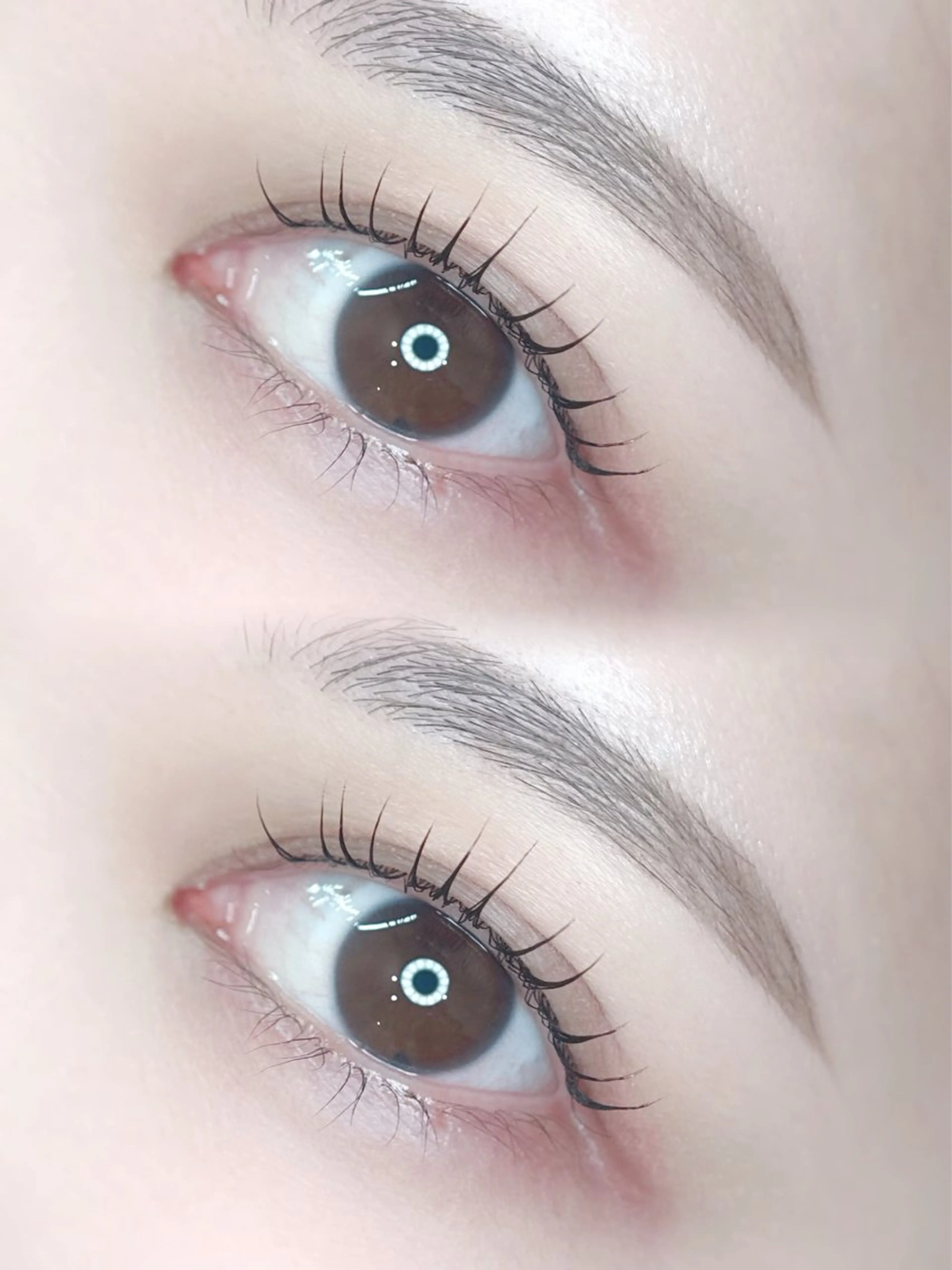 🐰ぱっちり上向き＊パリジェンヌラッシュリフト【¥7,260→¥2,660】の写真