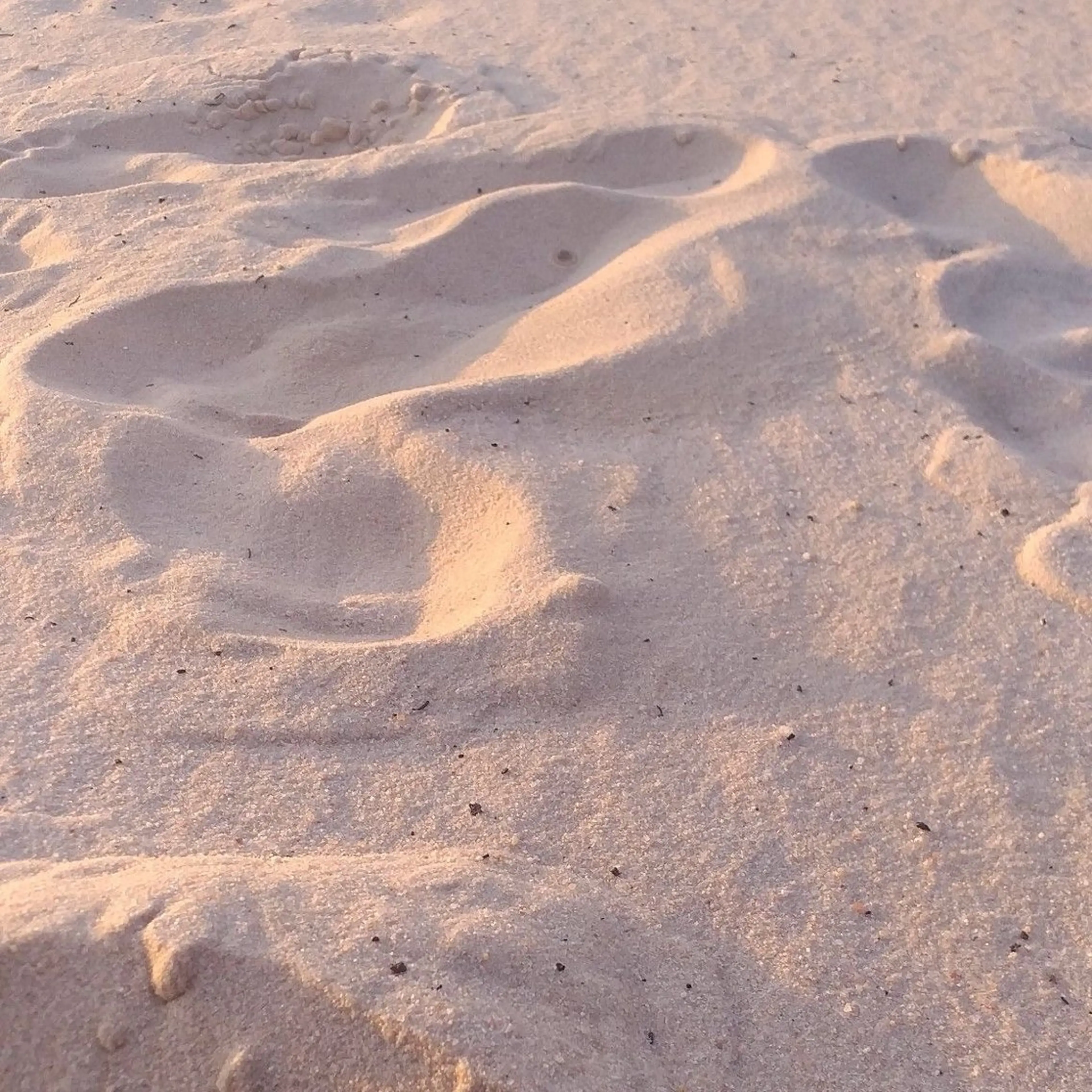 IwAsh  大和駅店所属・shiho .のヘアスタイル