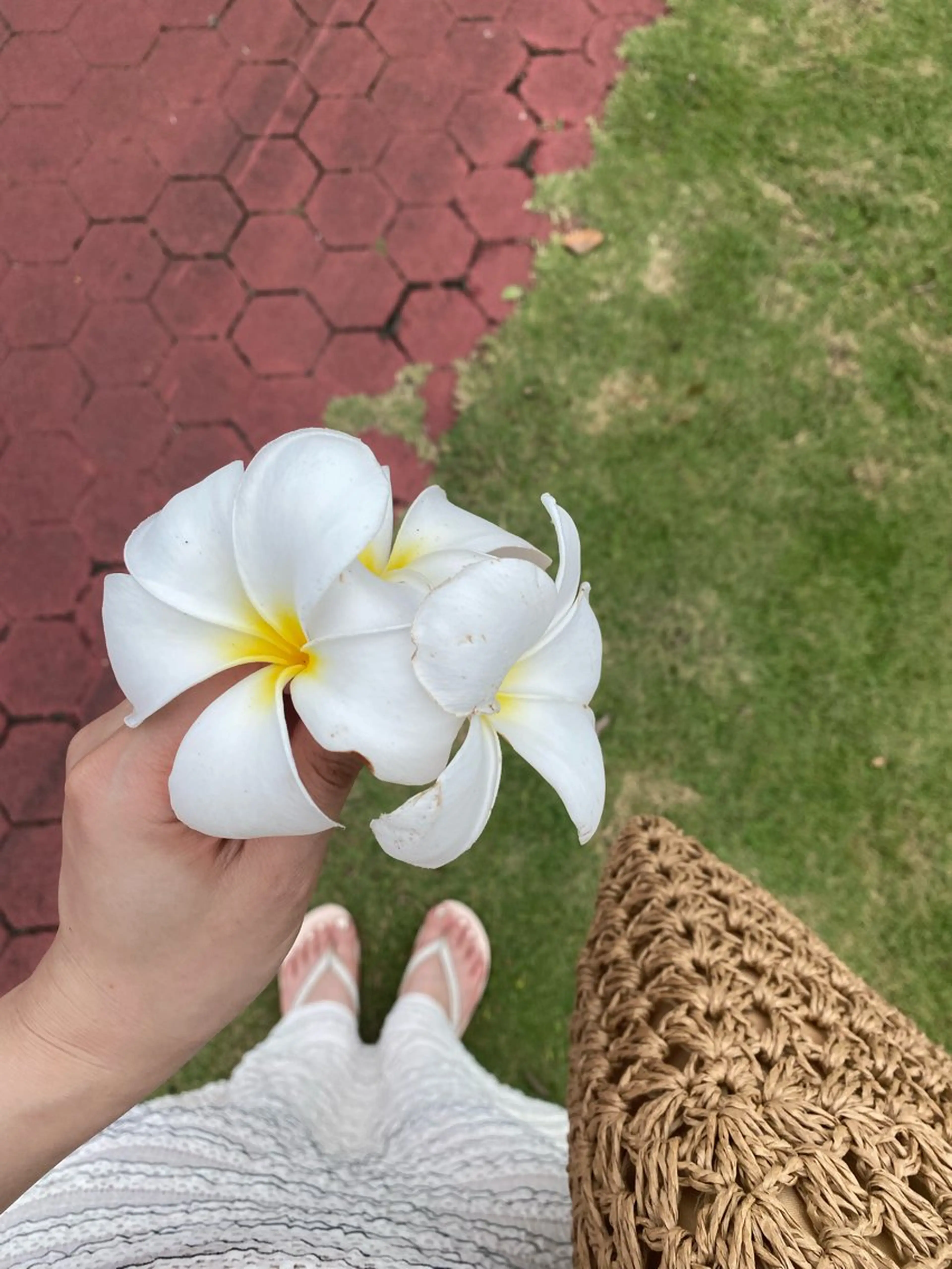 minion大宮2号店所属・minion大宮 2号店🌺KATOのマツエク・マツパデザイン