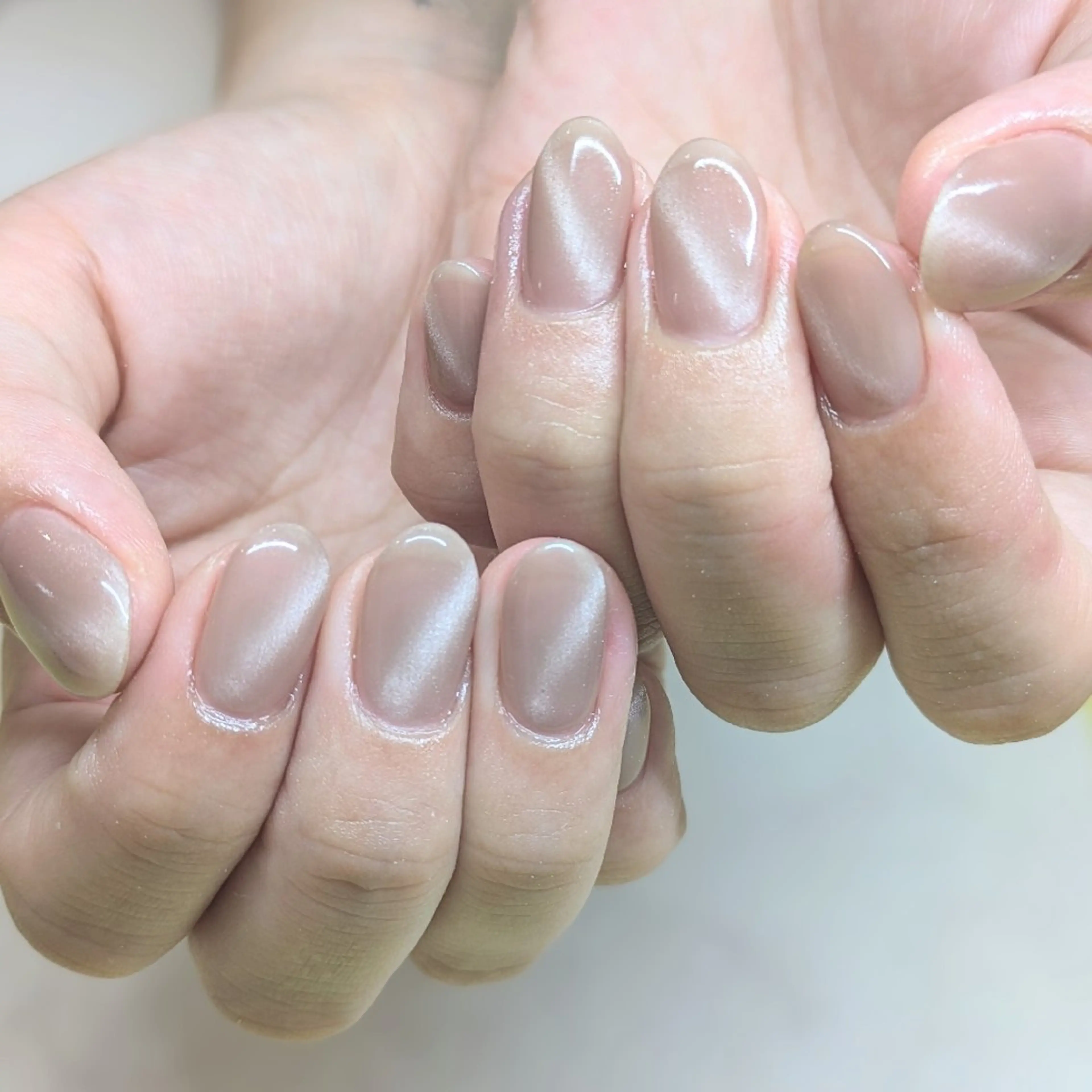 ネイル マグネットネイル マグネットワンカラー ワンカラーネイル Gerbera Nailistのネイルデザイン