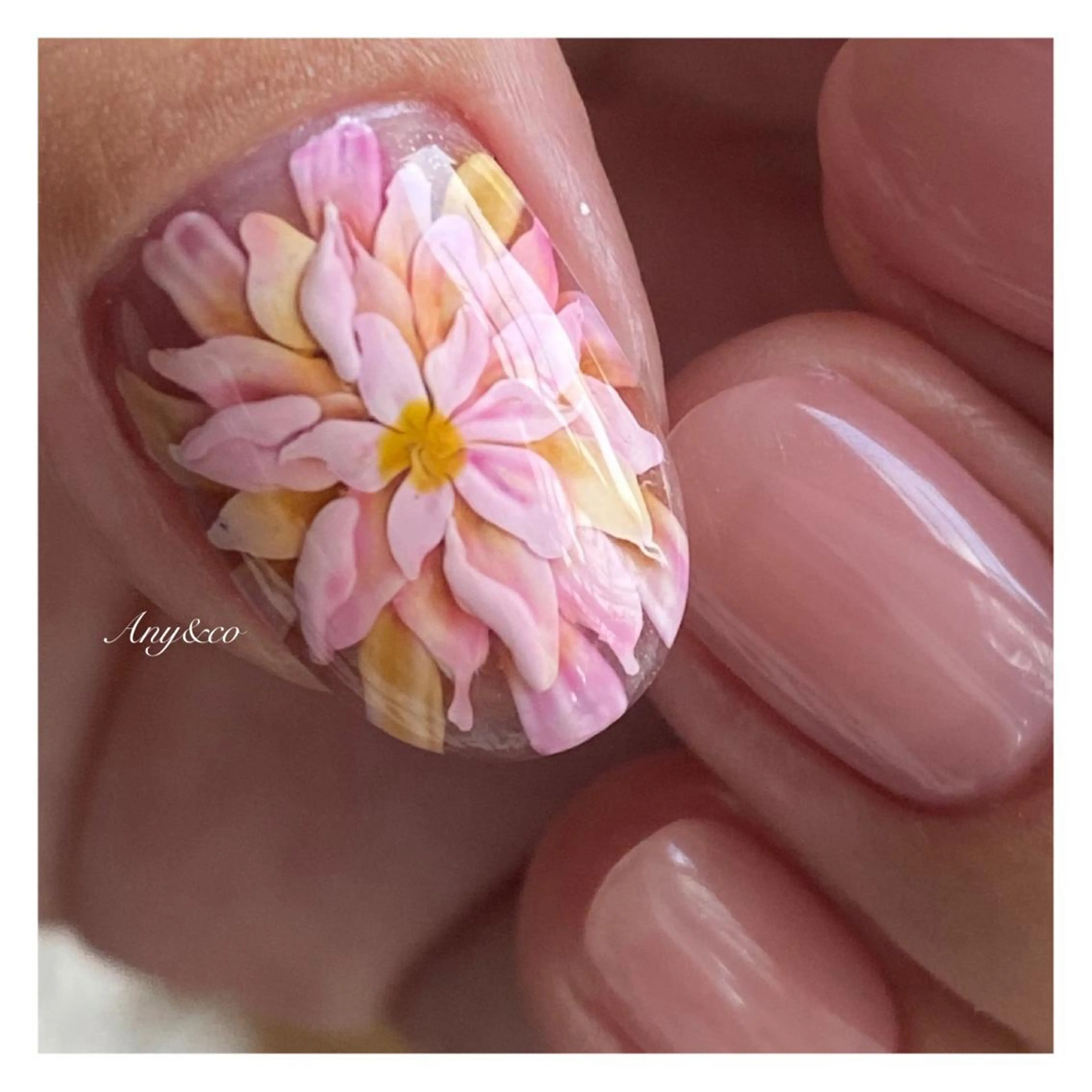 ネイル ハンドネイル Any&co 【エニコ】のマツエク・マツパデザイン