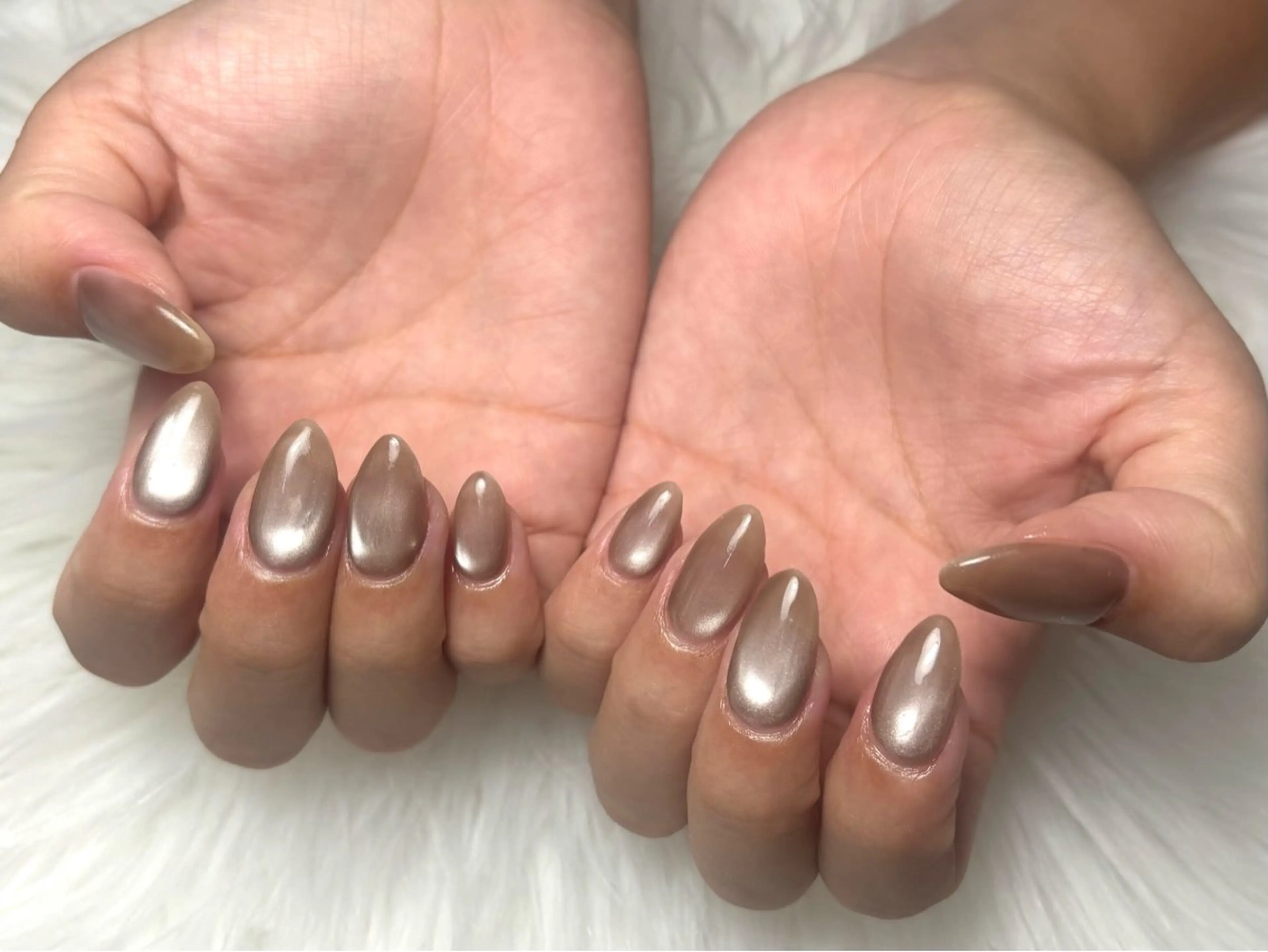 ⋆͛🍨 オフ無しマグネットワンカラー 𓈒𓏸︎︎︎︎の写真