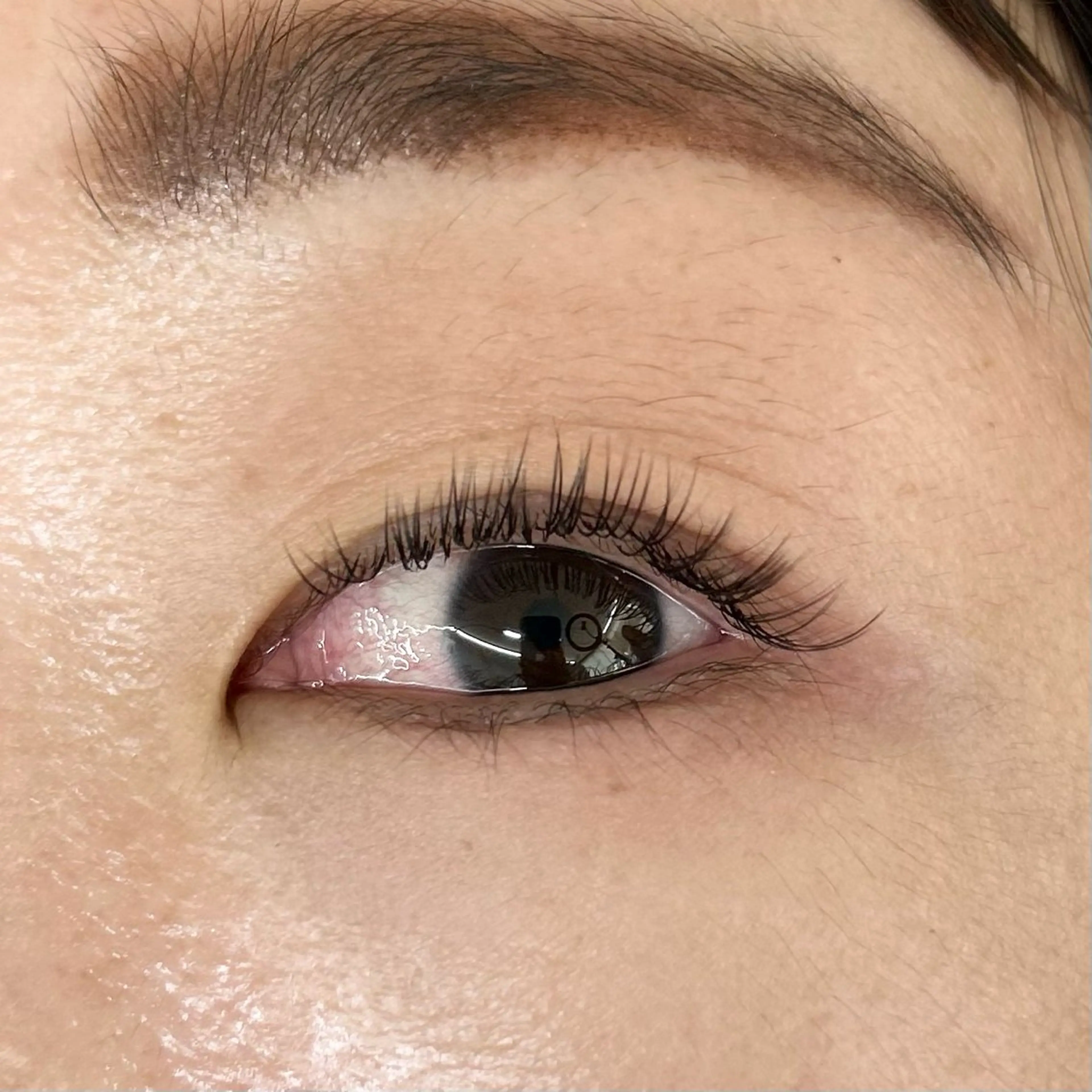 🩷🆕🩷&ヘルシー🌼フラットラッシュ130本の写真