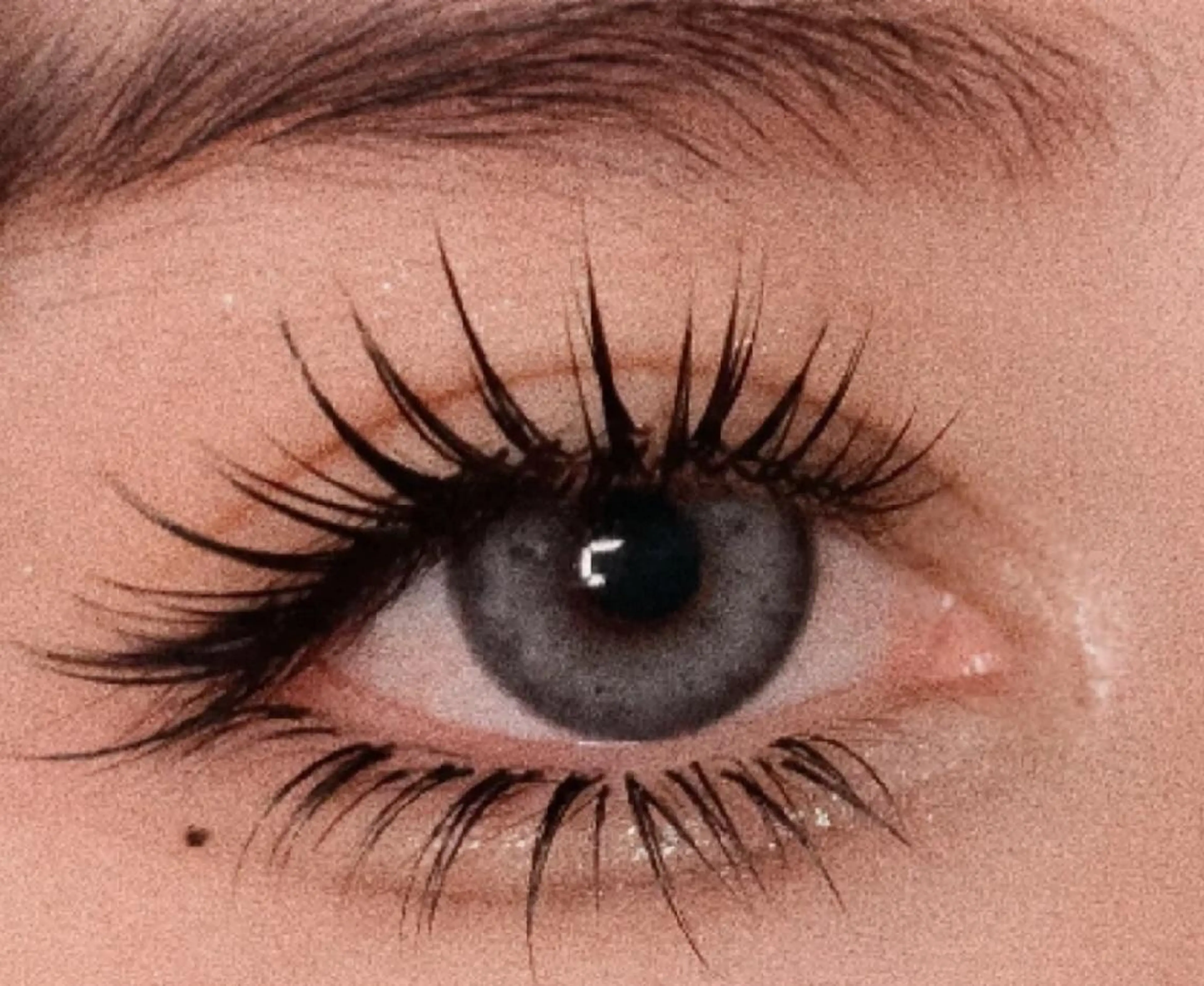 マツエク・マツパ マツエク foisalon 大久保店のマツエク・マツパデザイン