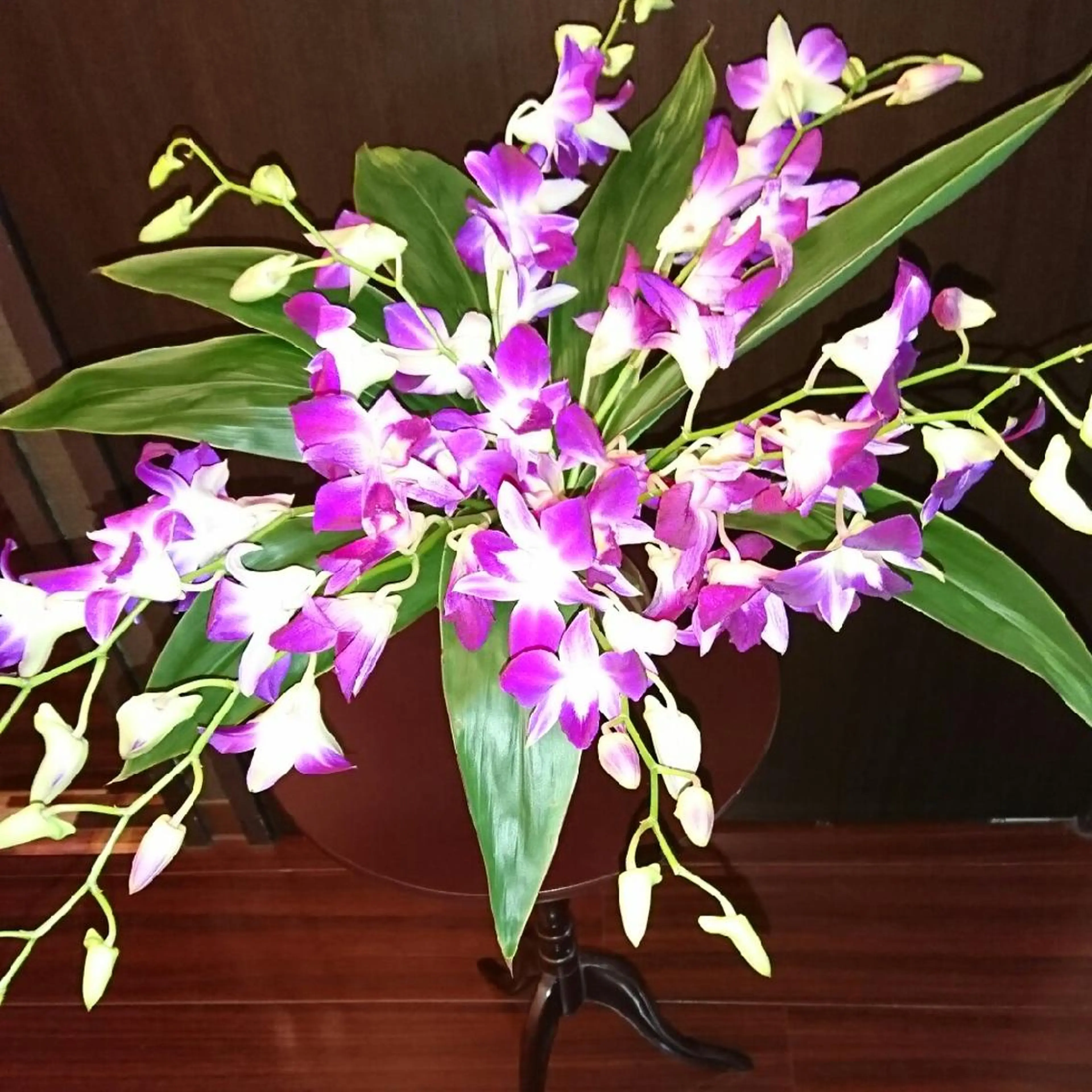 g*rossa高橋 くみこのエステ・リラクイメージ