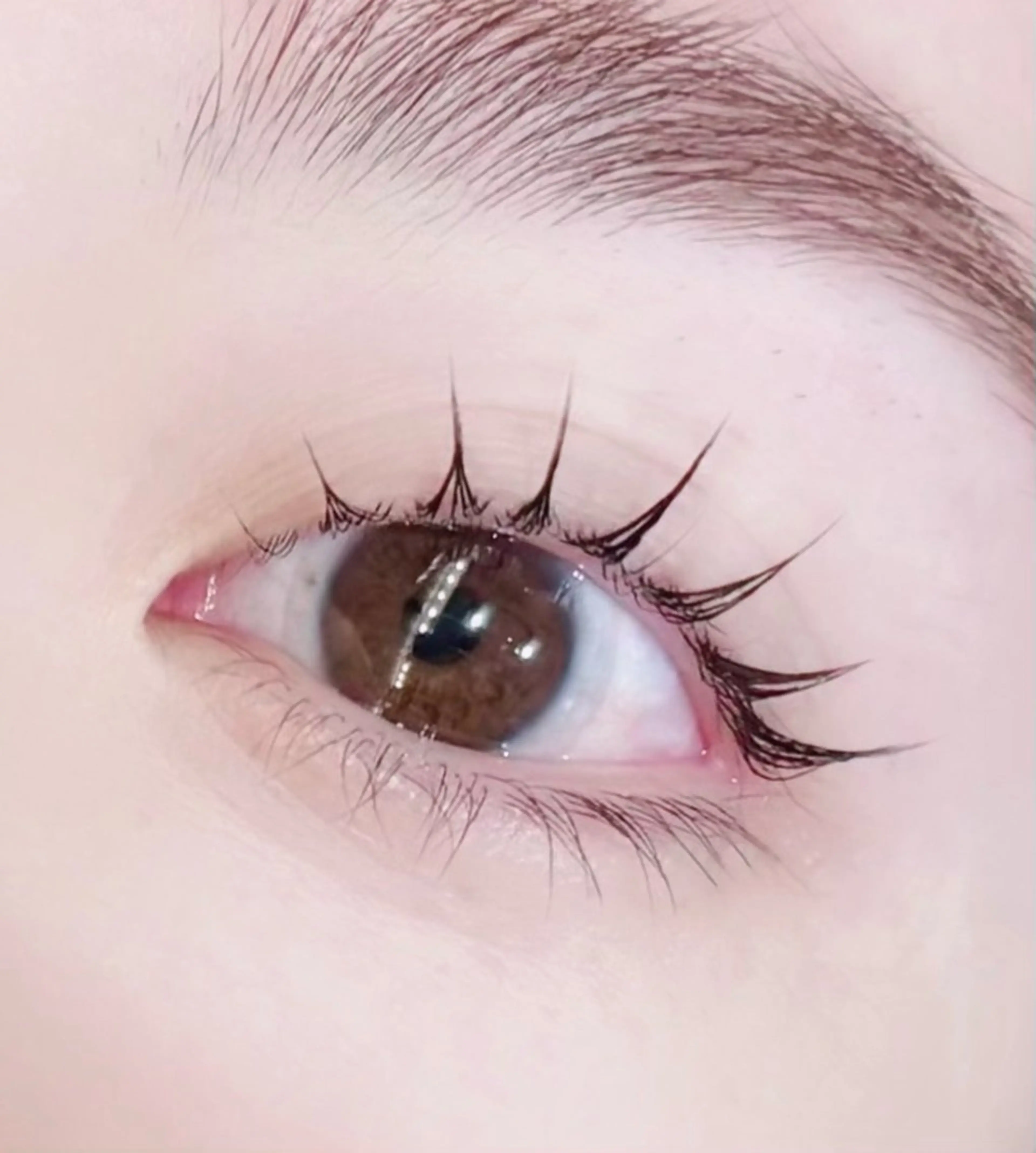 クラウンラッシュリフトの写真