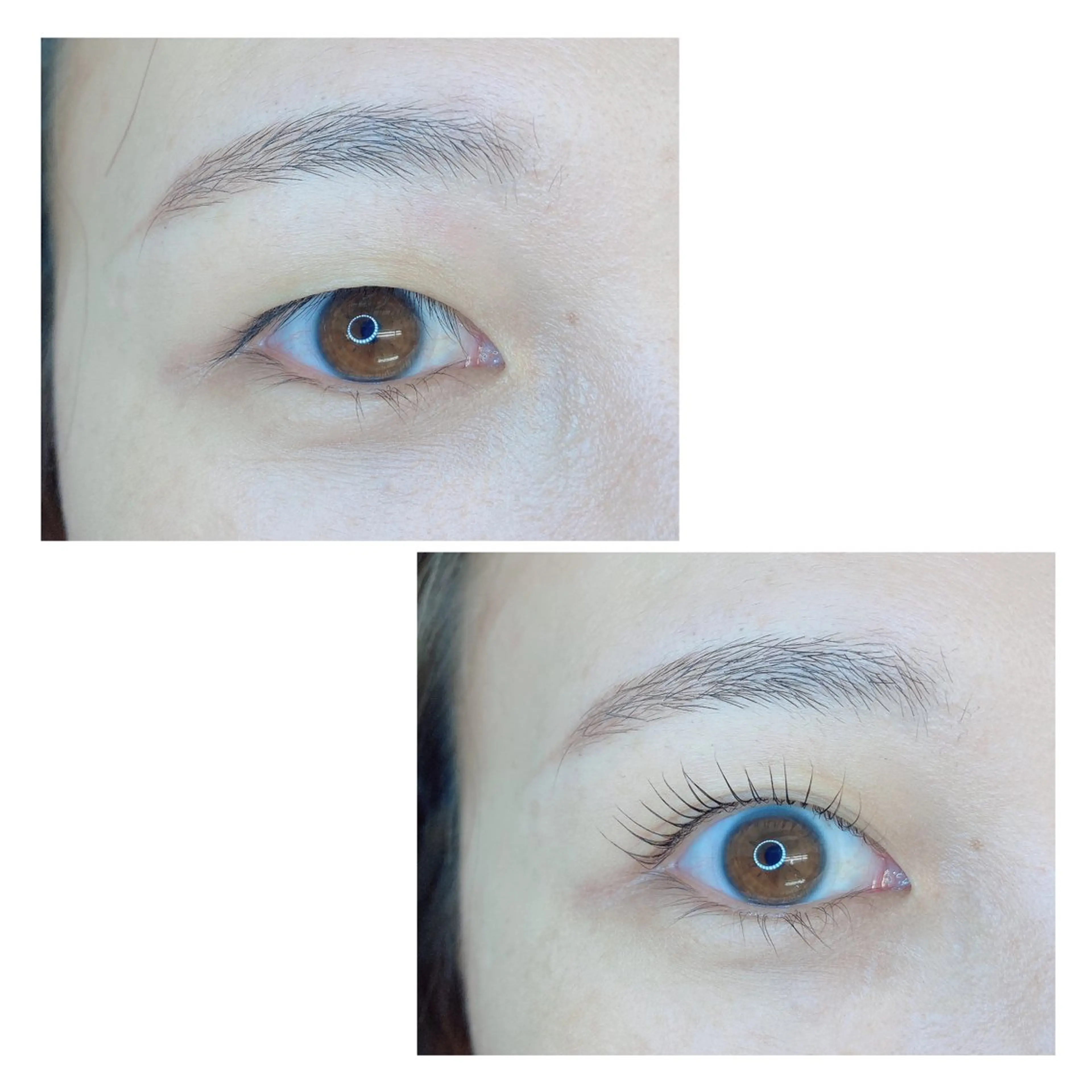 マツエク・マツパ TIARA池袋西口店 店長YASUKA💐のマツエク・マツパデザイン