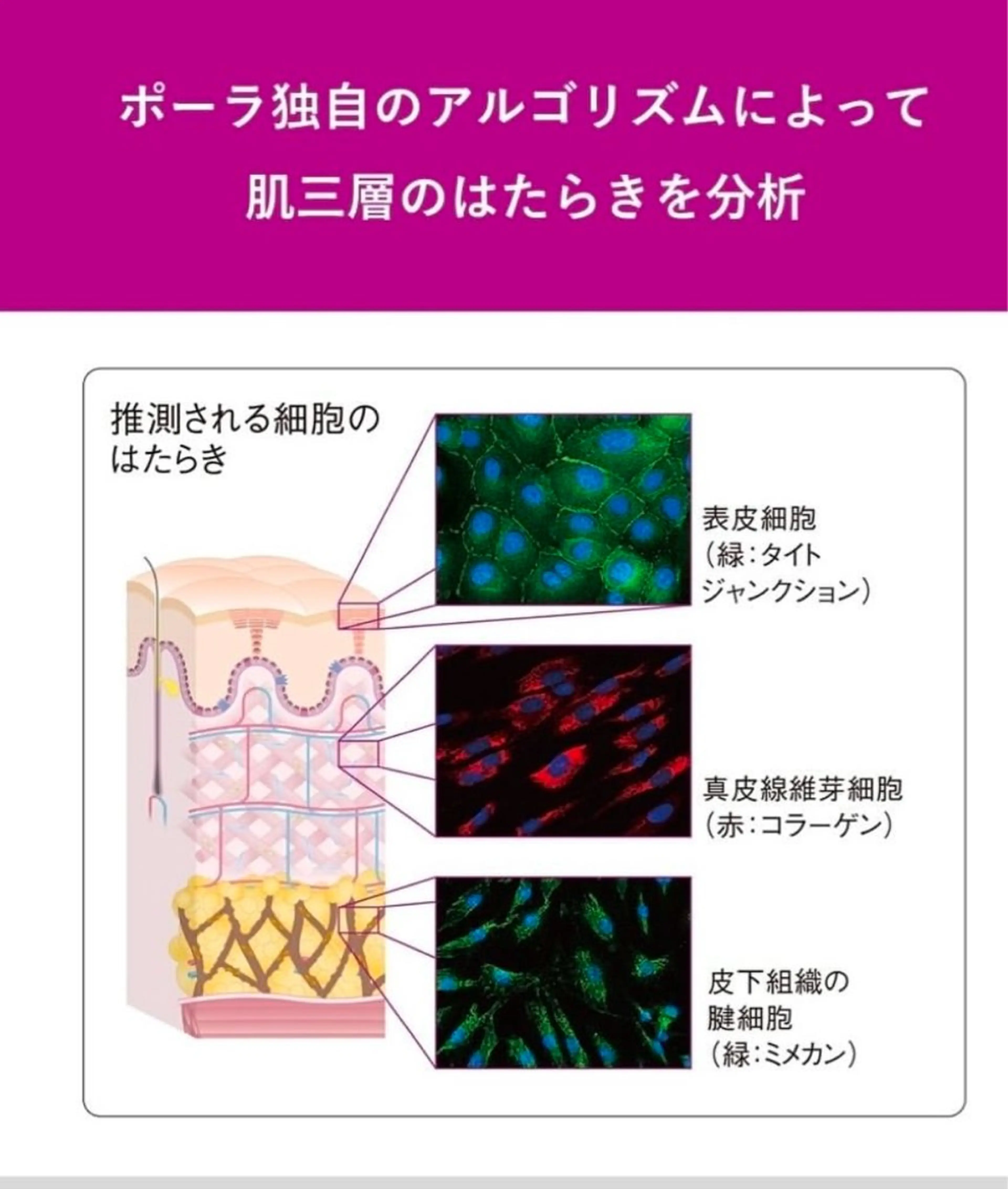 POLAエステインあい所属・POLA エステインあいのエステ・リラクイメージ