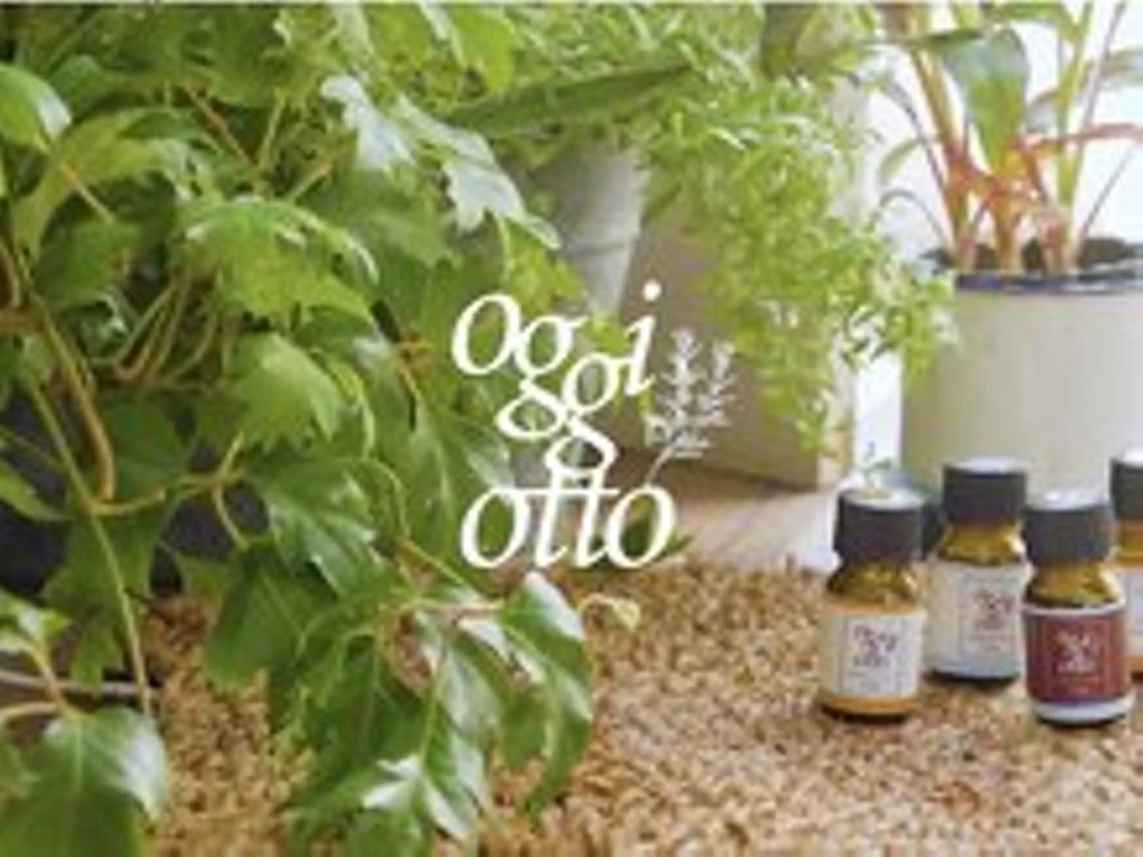 トリートメント アカリ😸🫶 カラーリスト🧡のヘアスタイル