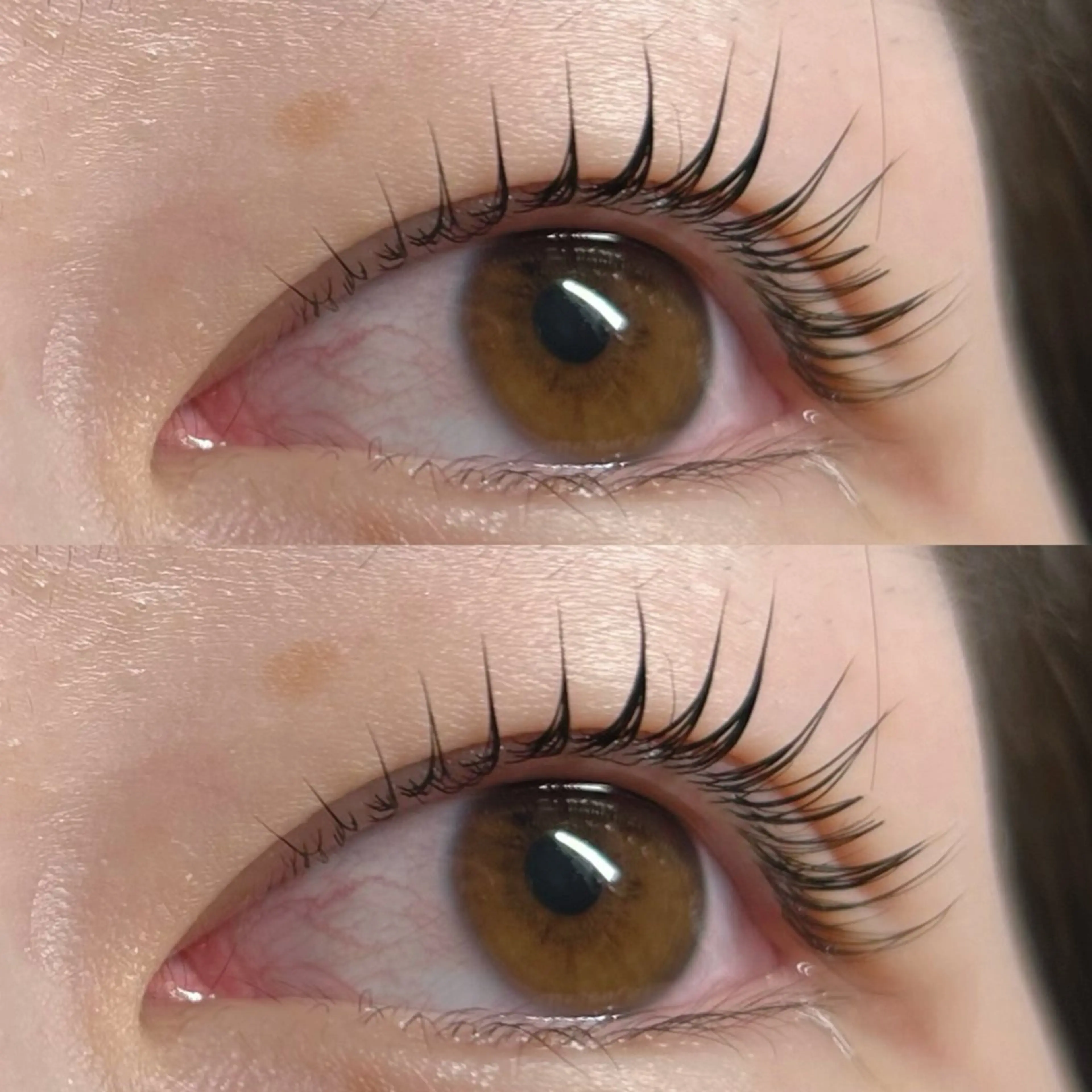 🤎【平日限定価格】パリジェンヌラッシュリフト🤎の写真