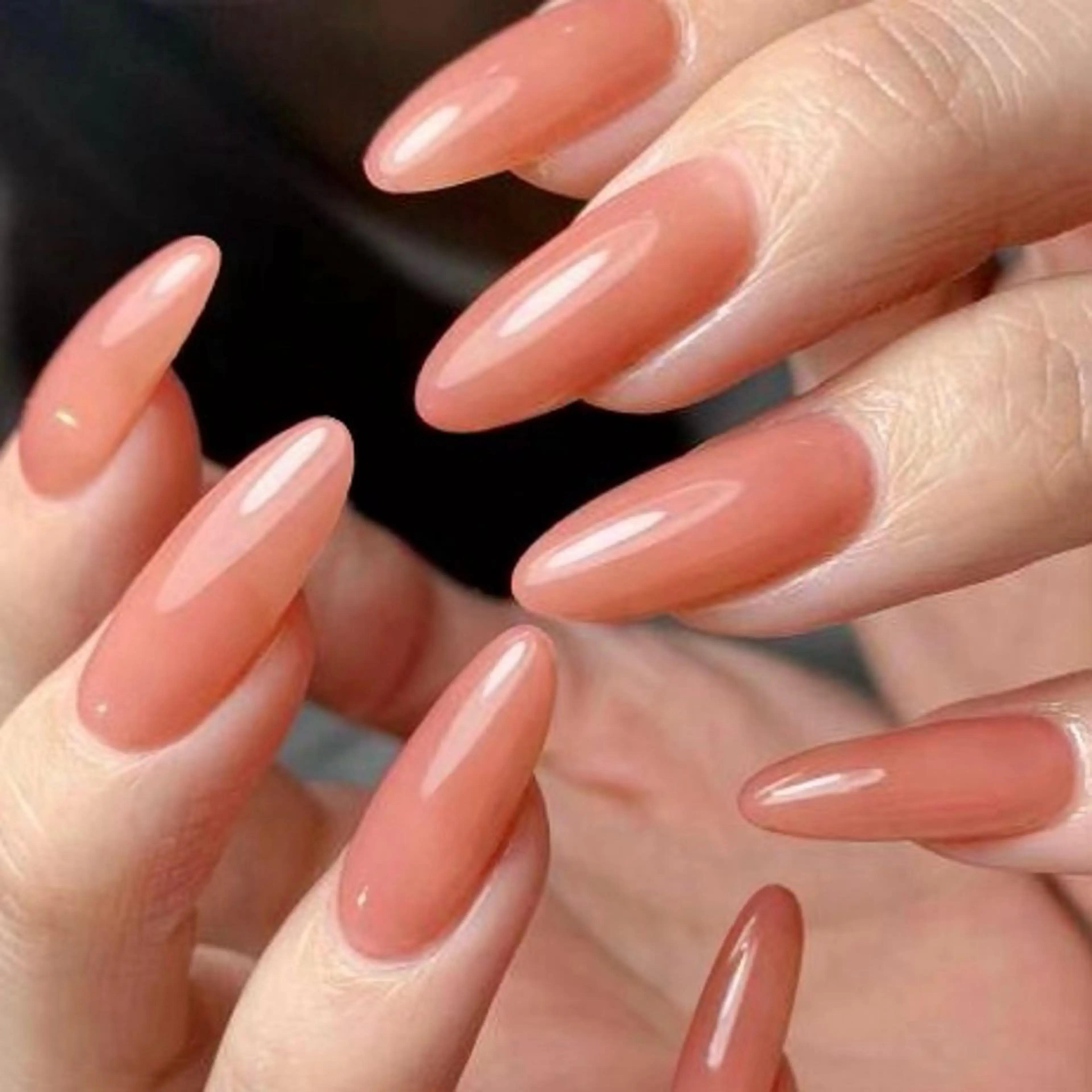 マオジェルワンカラーの写真