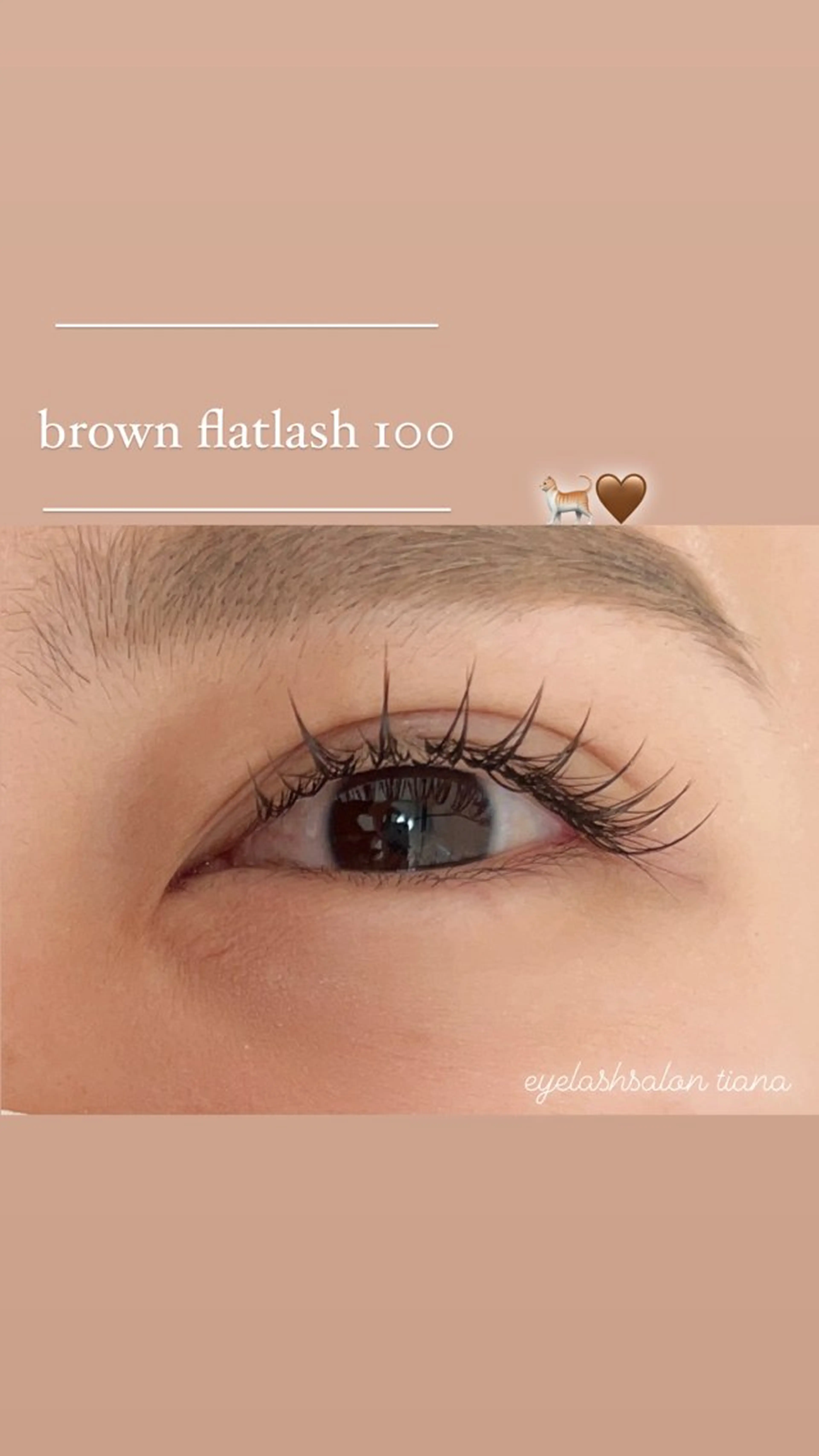 マツエク・マツパ マツエク ♡tiana juna˖ ࣪⊹のマツエク・マツパデザイン