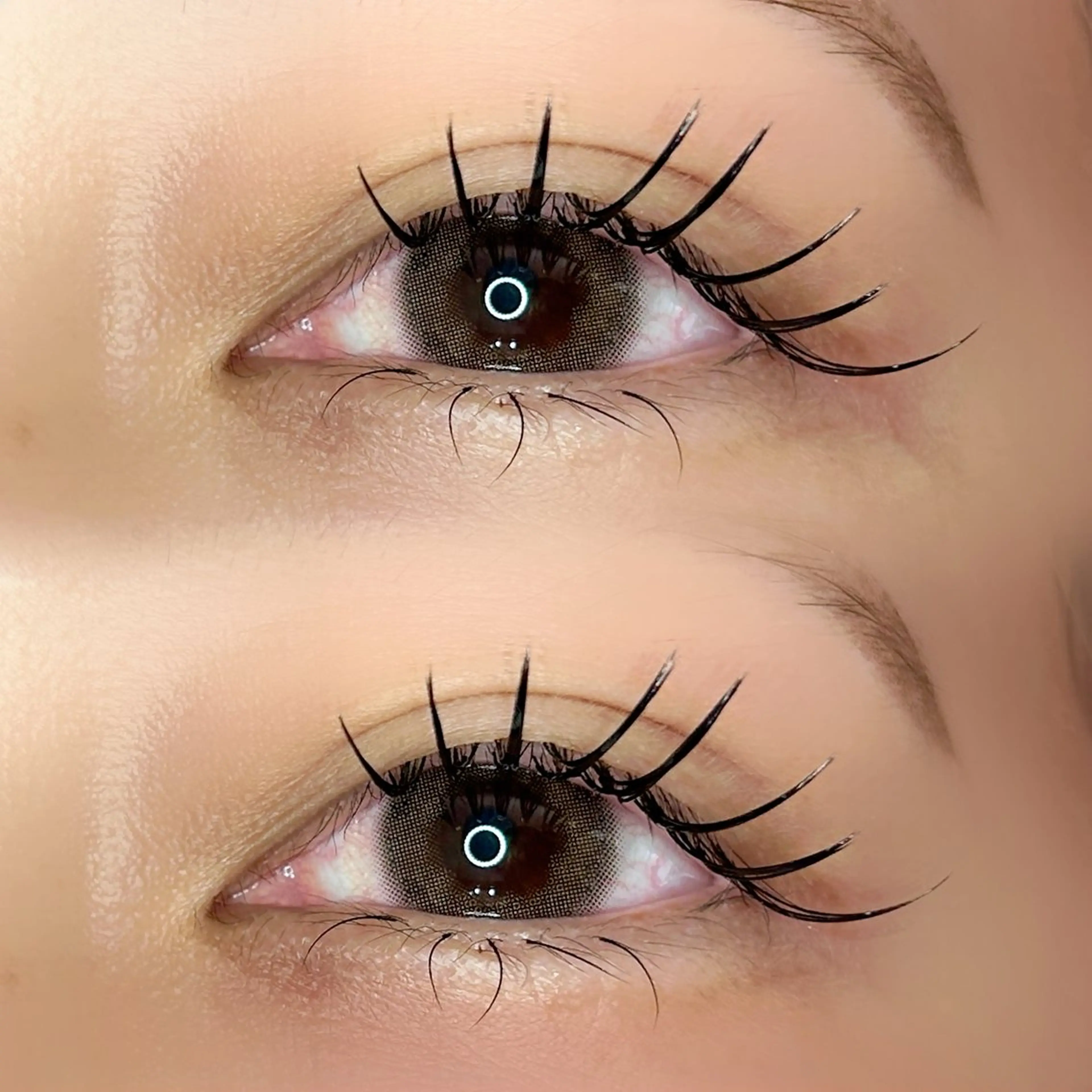 🍼ミニモ学割：まつエク100本までつけ放題《オフ🆗/束感コーティング》の写真