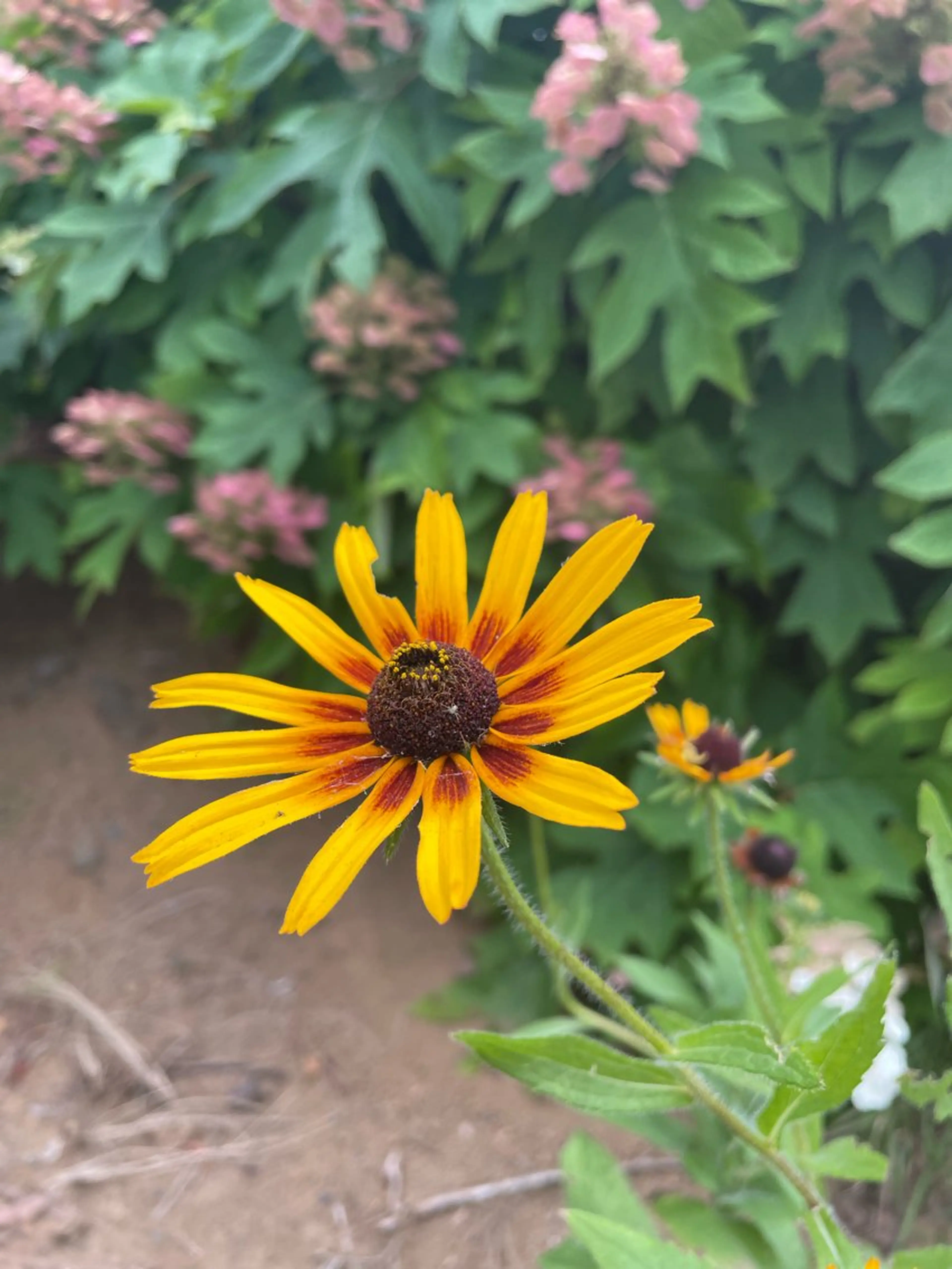 espoir-K 横浜のエステ・リラクイメージ