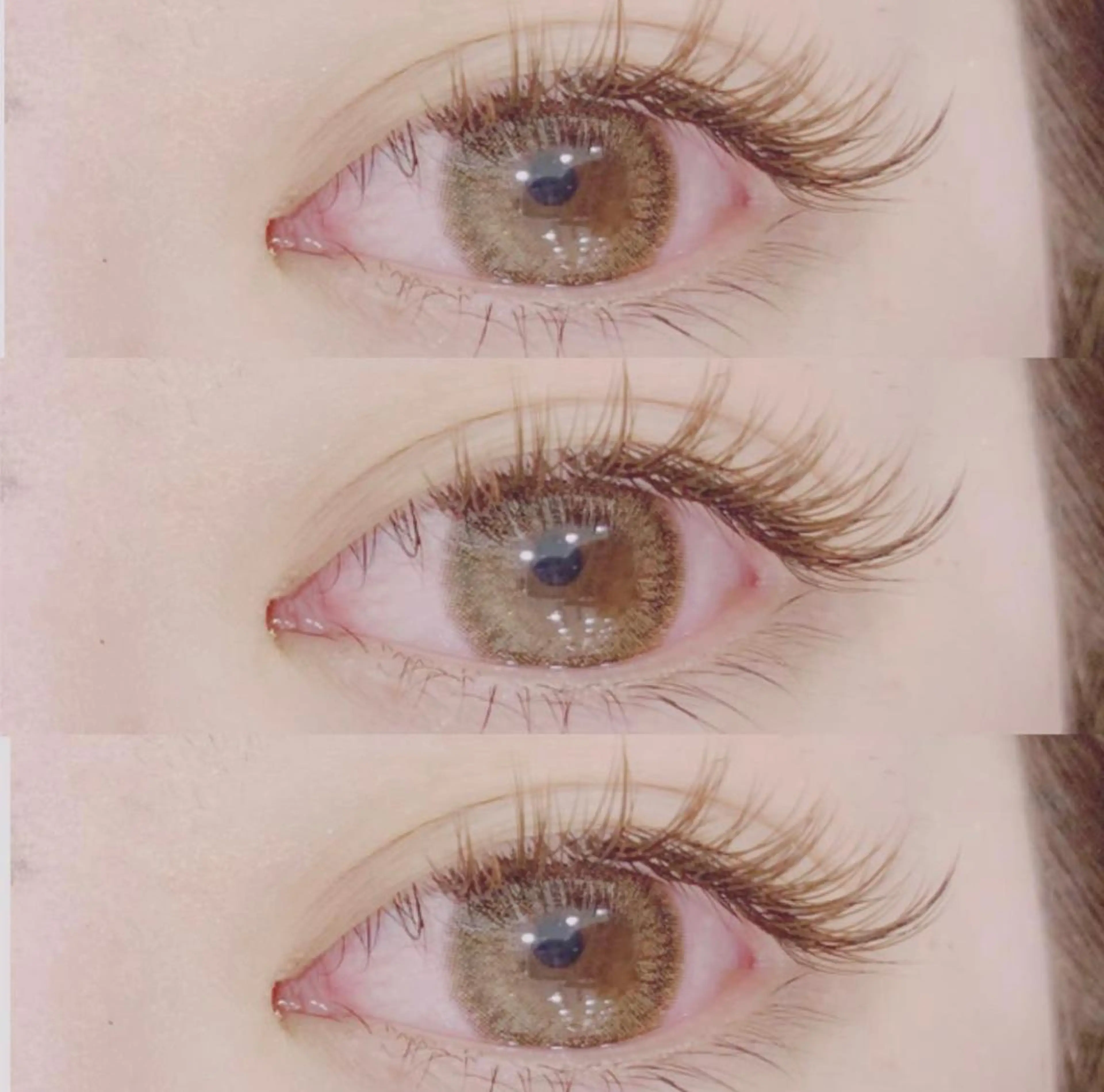 アイシャンプーの写真