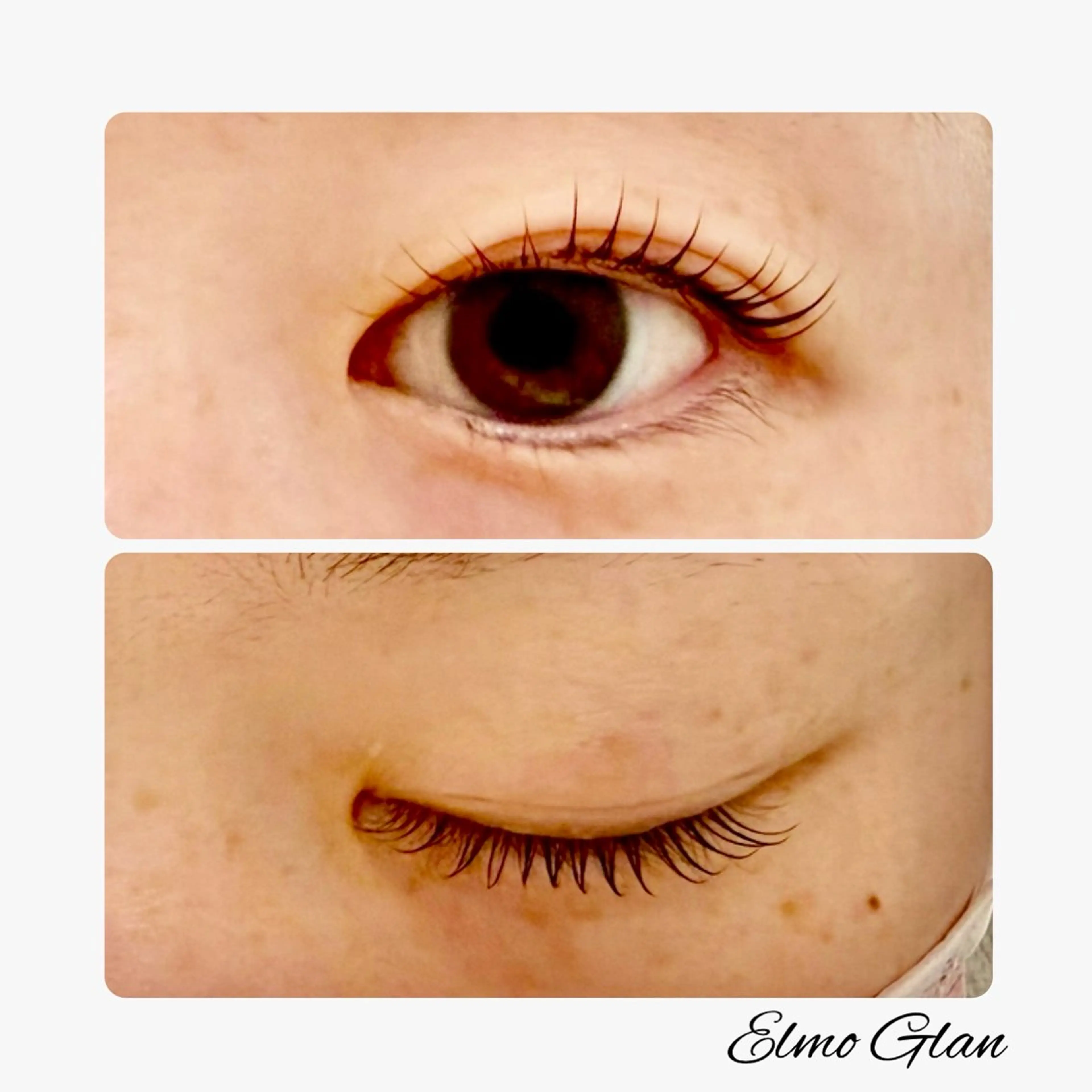 マツエク・マツパ マツパ Elmo Glan サカモトのマツエク・マツパデザイン