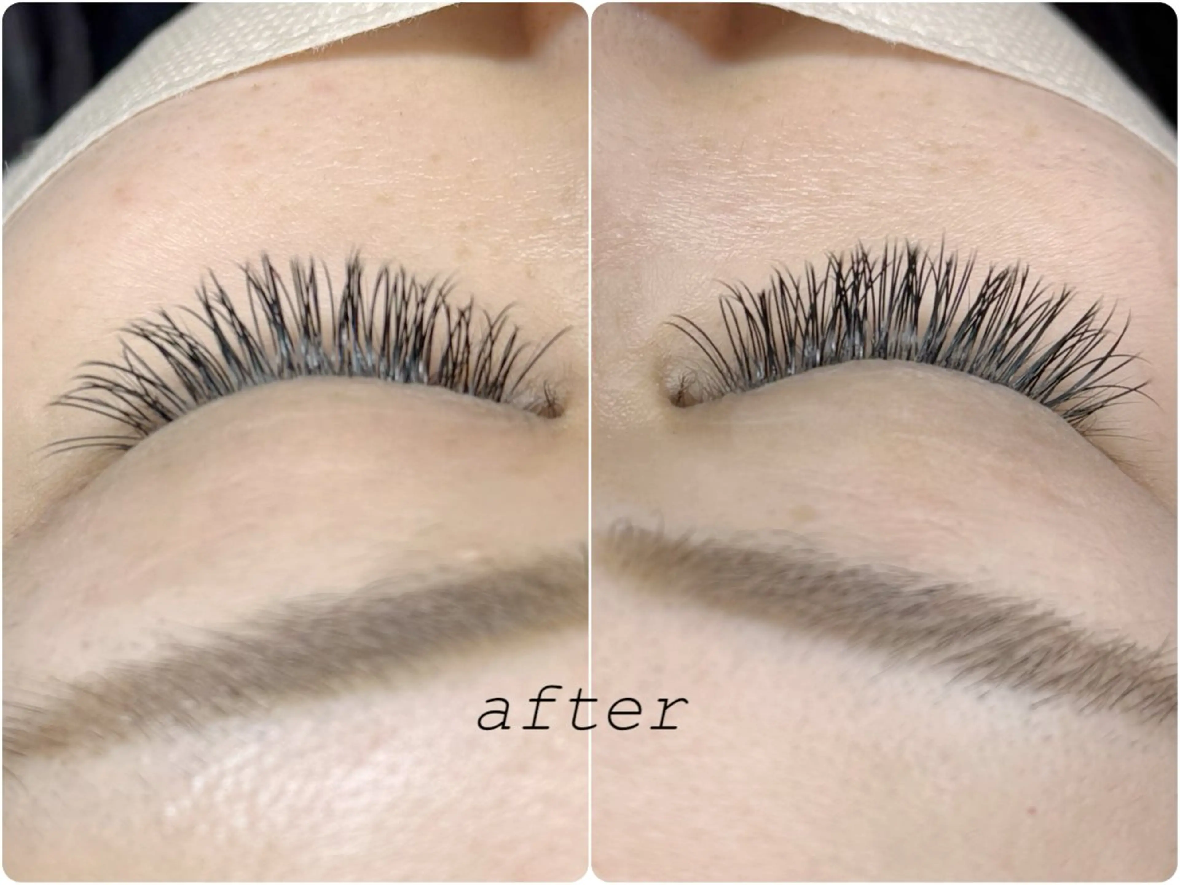 新規様限定！11月特別価格メニュー☆フラットラッシュ付け放題♡予約リクエストお願いします！1番人気メニュー復活の写真