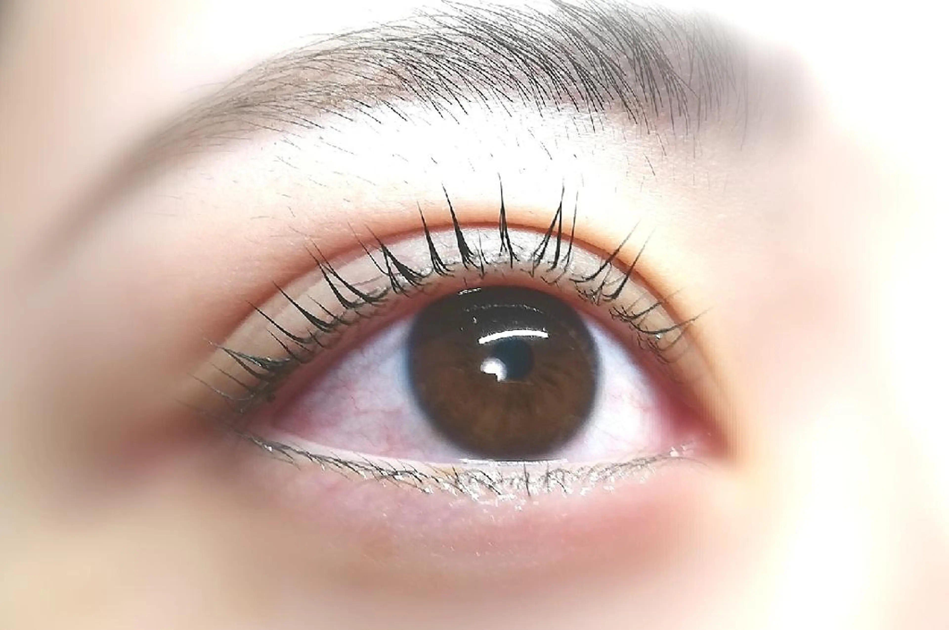 マツエク・マツパ Lカール angelux 所属・完全個室サロン🌹 angelux🌹のマツエク・マツパデザイン