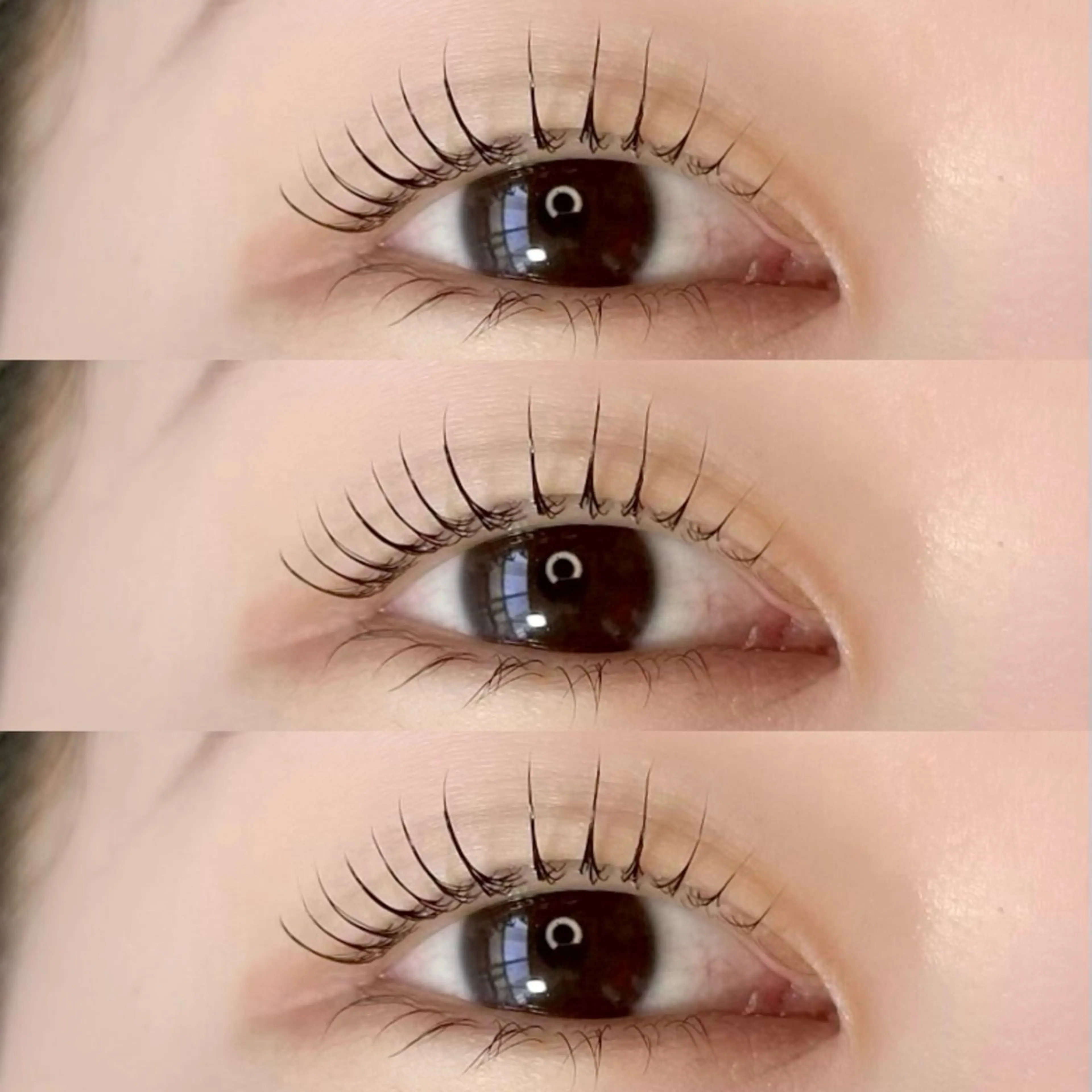 ＼1日1名限定🎟／平日🈹¥4,500→束感ラッシュリフト🪡※オフなし ◇アイシャンプー付き😶‍🌫️の写真