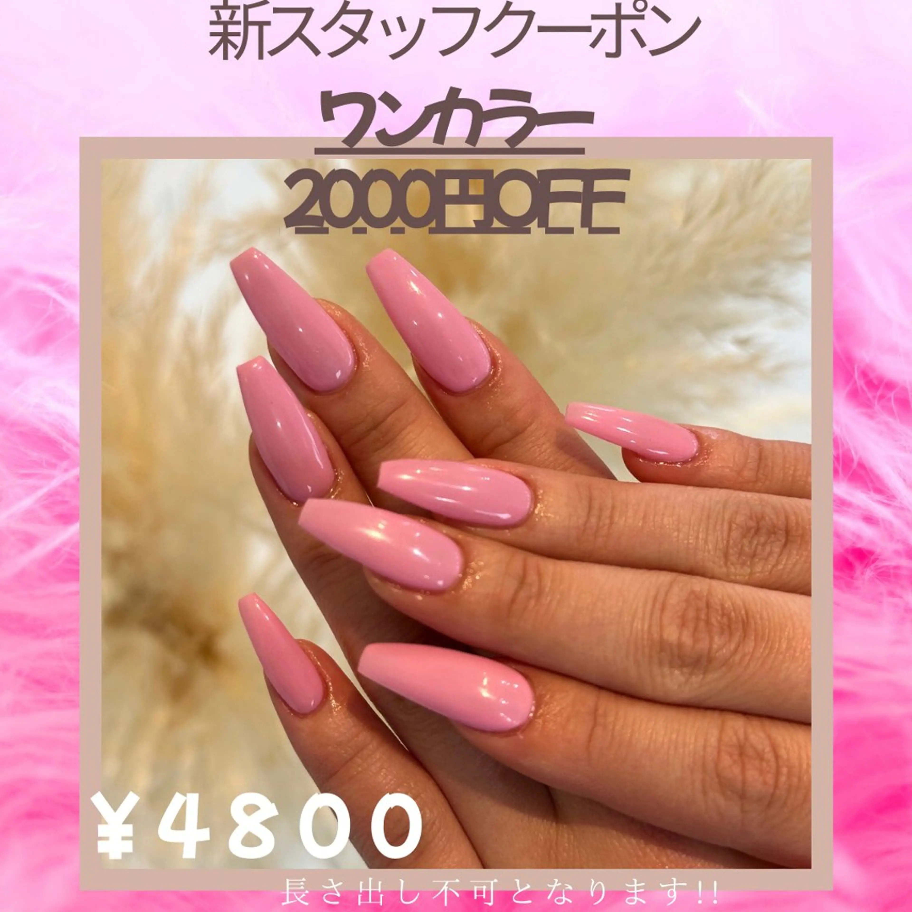 ワンカラー 4800円の写真