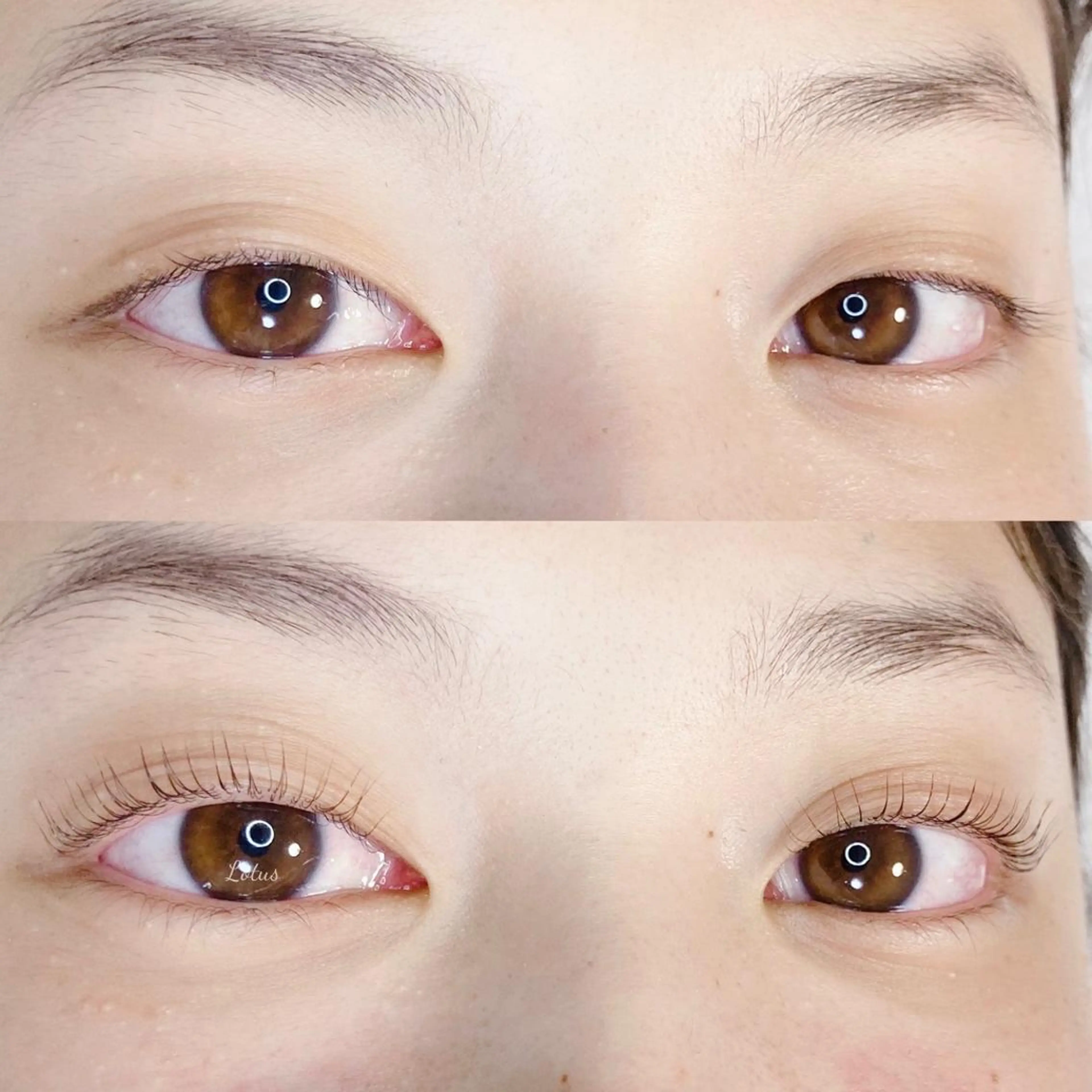 マツエク・マツパ マツパ Lotus所属・Lotus ロータスのマツエク・マツパデザイン