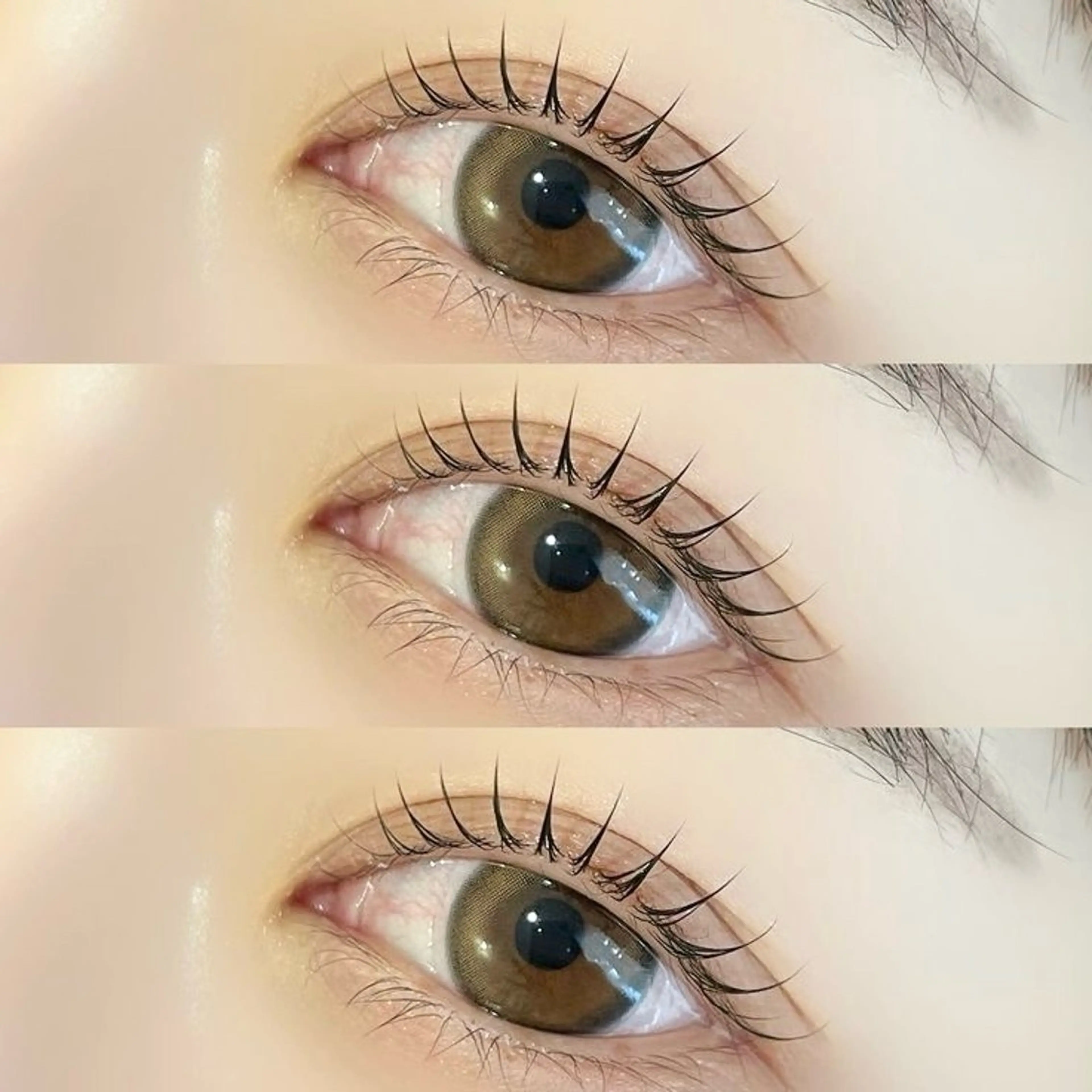 【当日限定❕】🎀まつげパーマ🎀¥2750の写真