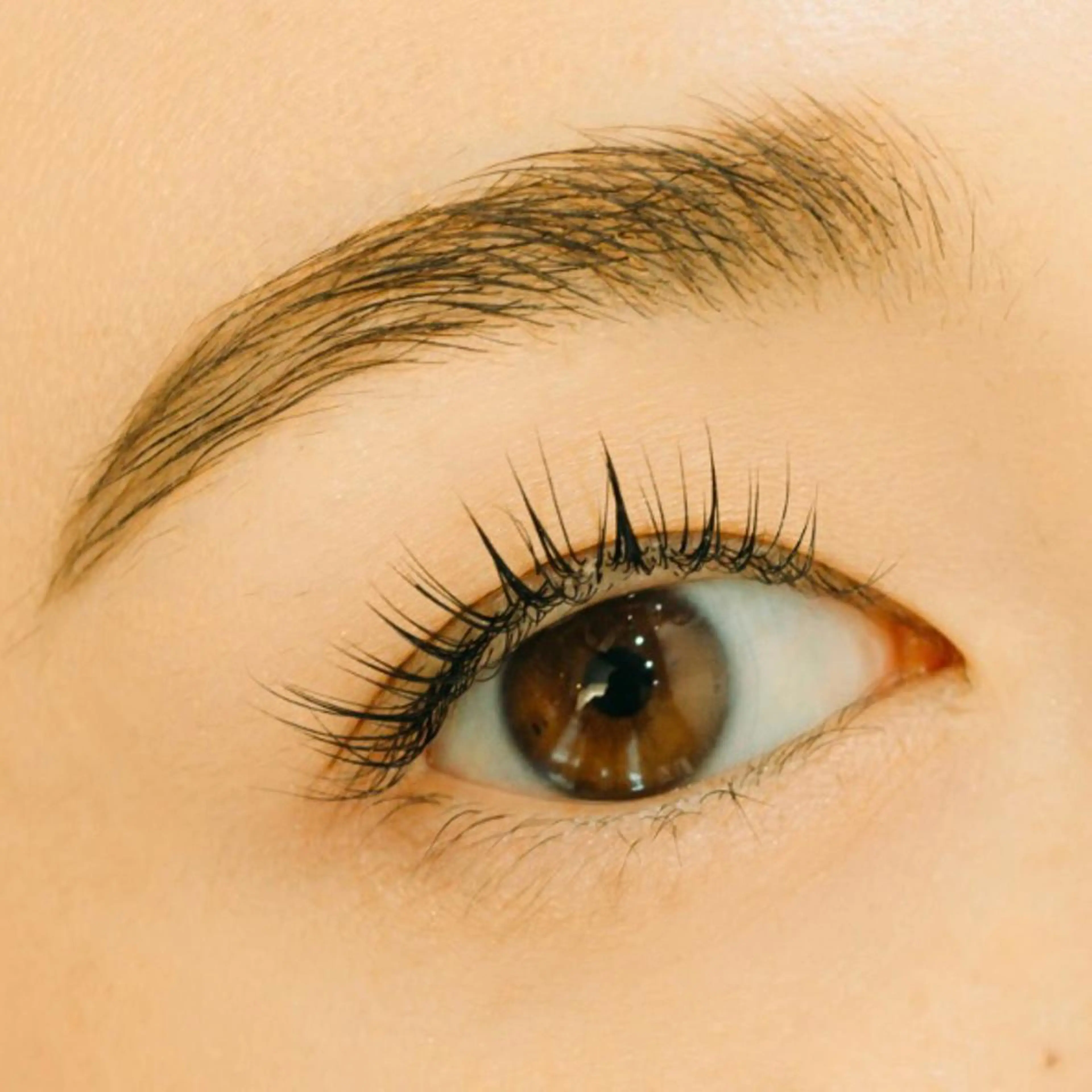 🌷まつ毛パーマ🌷パリジェンヌラッシュリフトの写真