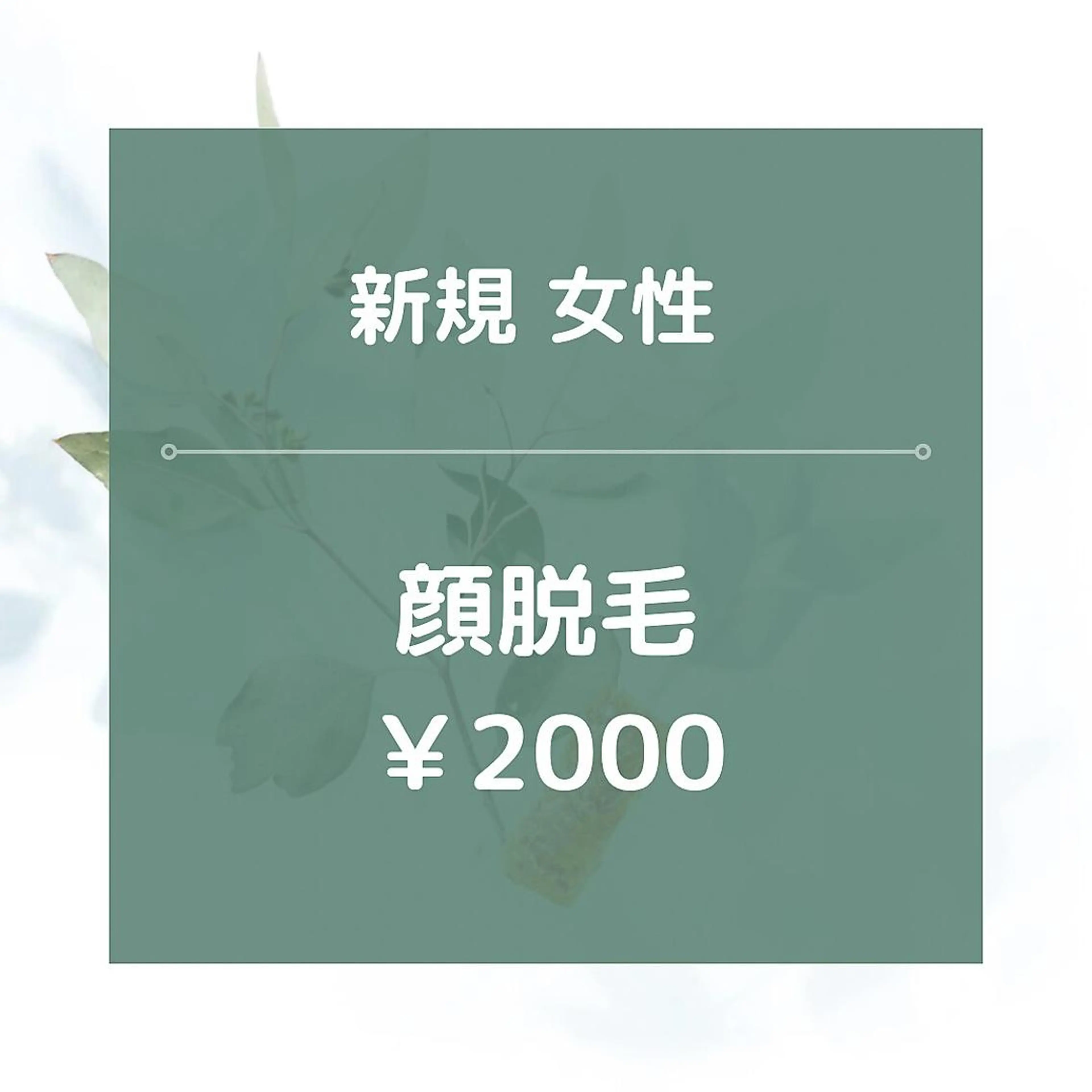 【新規女性】★☆顔全体脱毛/¥2000☆★美肌効果あり!20分の写真