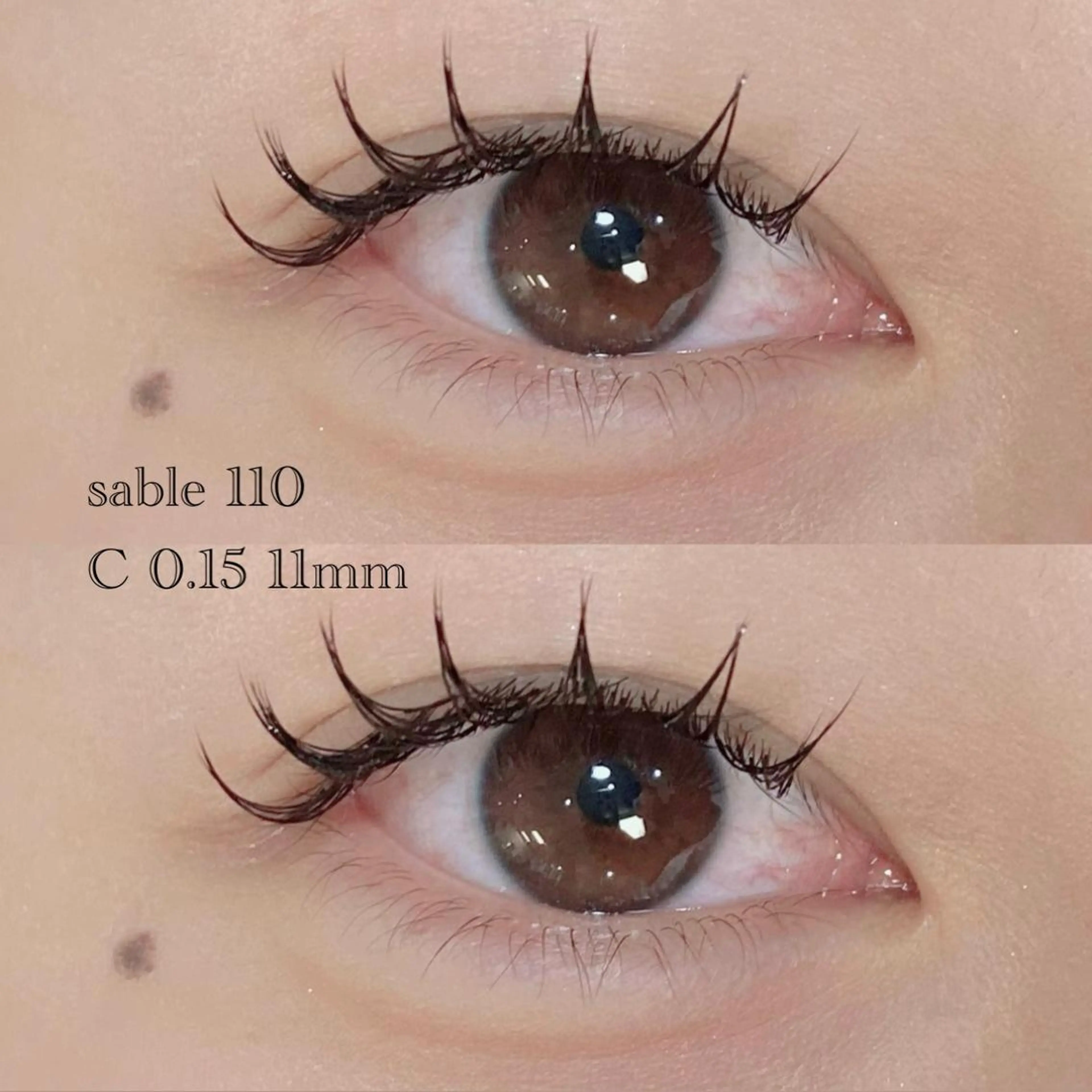 マツエク・マツパ Cカール セーブル OLIVIA 郷家 ♡のマツエク・マツパデザイン