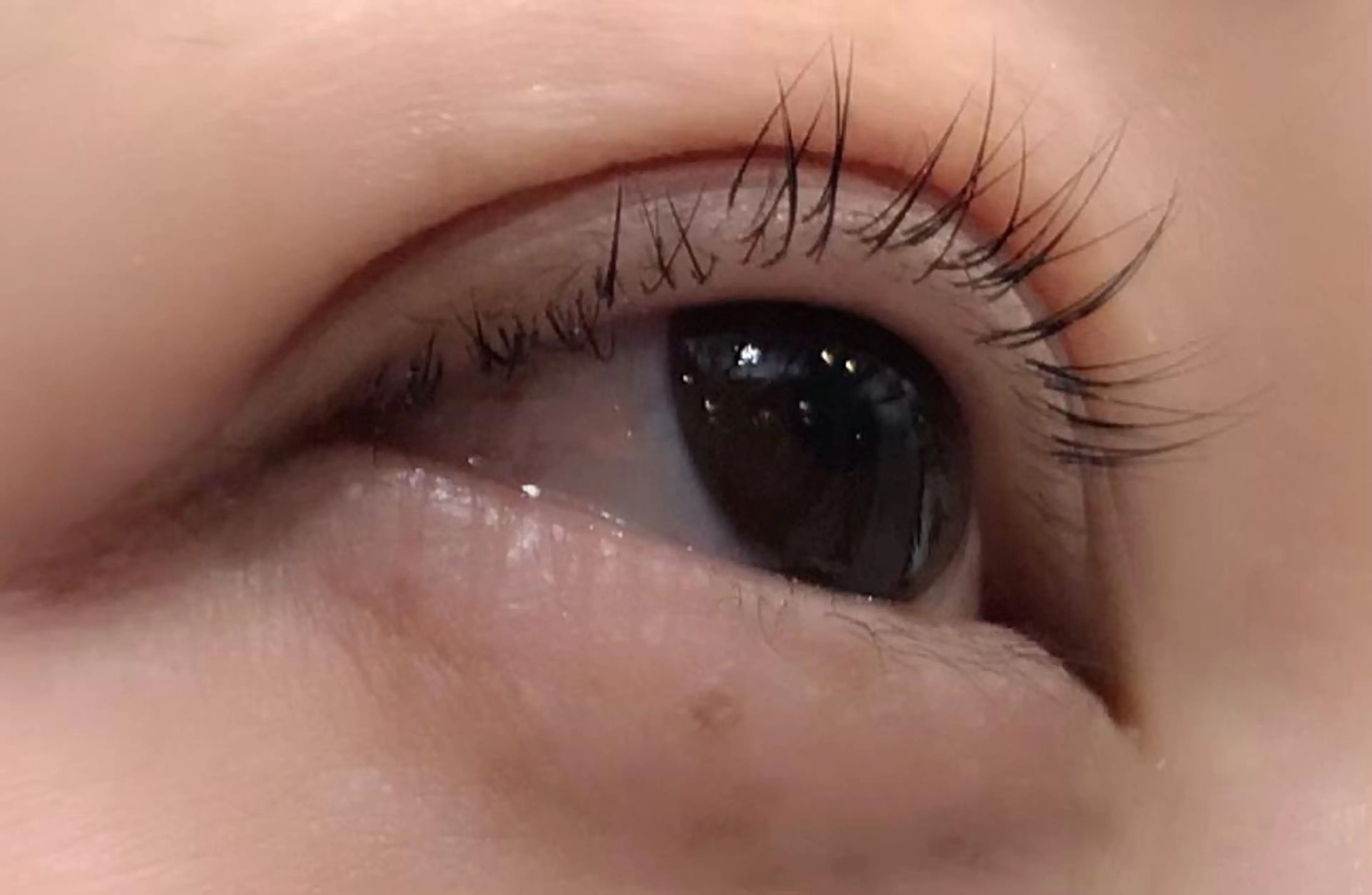 マツエク・マツパ 岡田詩織 MODE Ks松原店のヘアスタイル