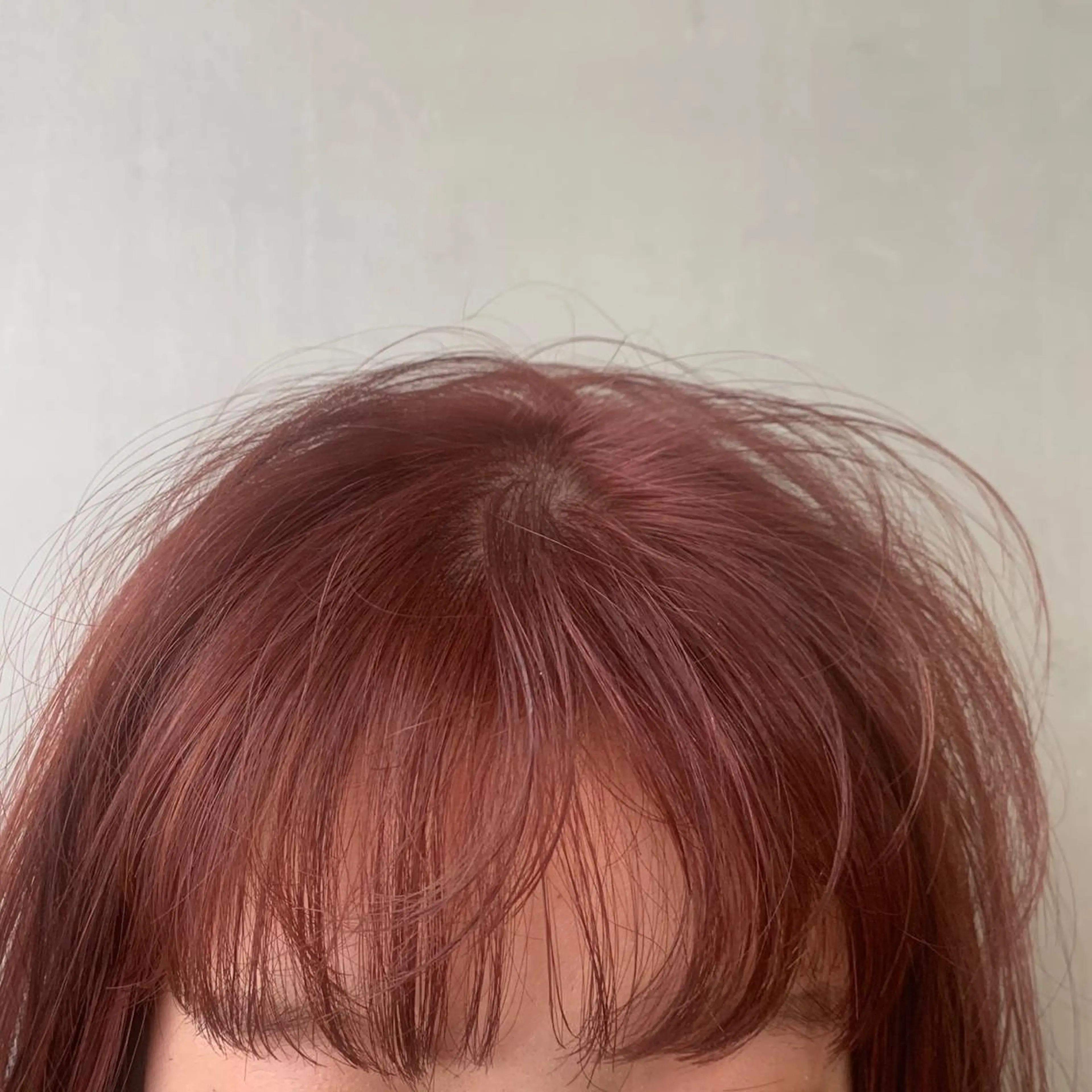 セミロング カラー ブリーチ カシス レッドカラー SALOWIN梅田茶屋町店所属・ウルフレイヤーカット /チヒロのヘアスタイル