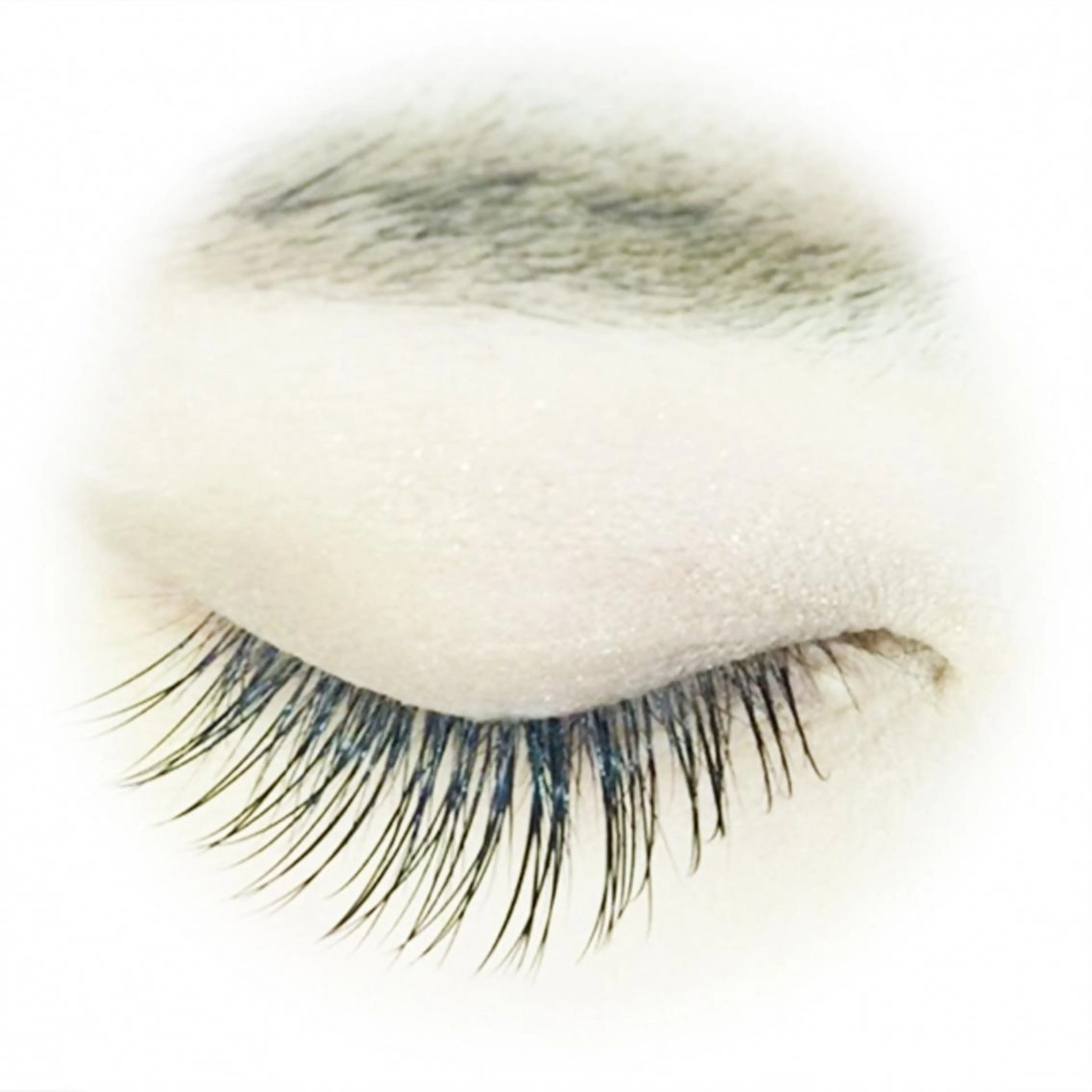 マツエク・マツパ Head Spa ELM所属・。 。のヘアスタイル