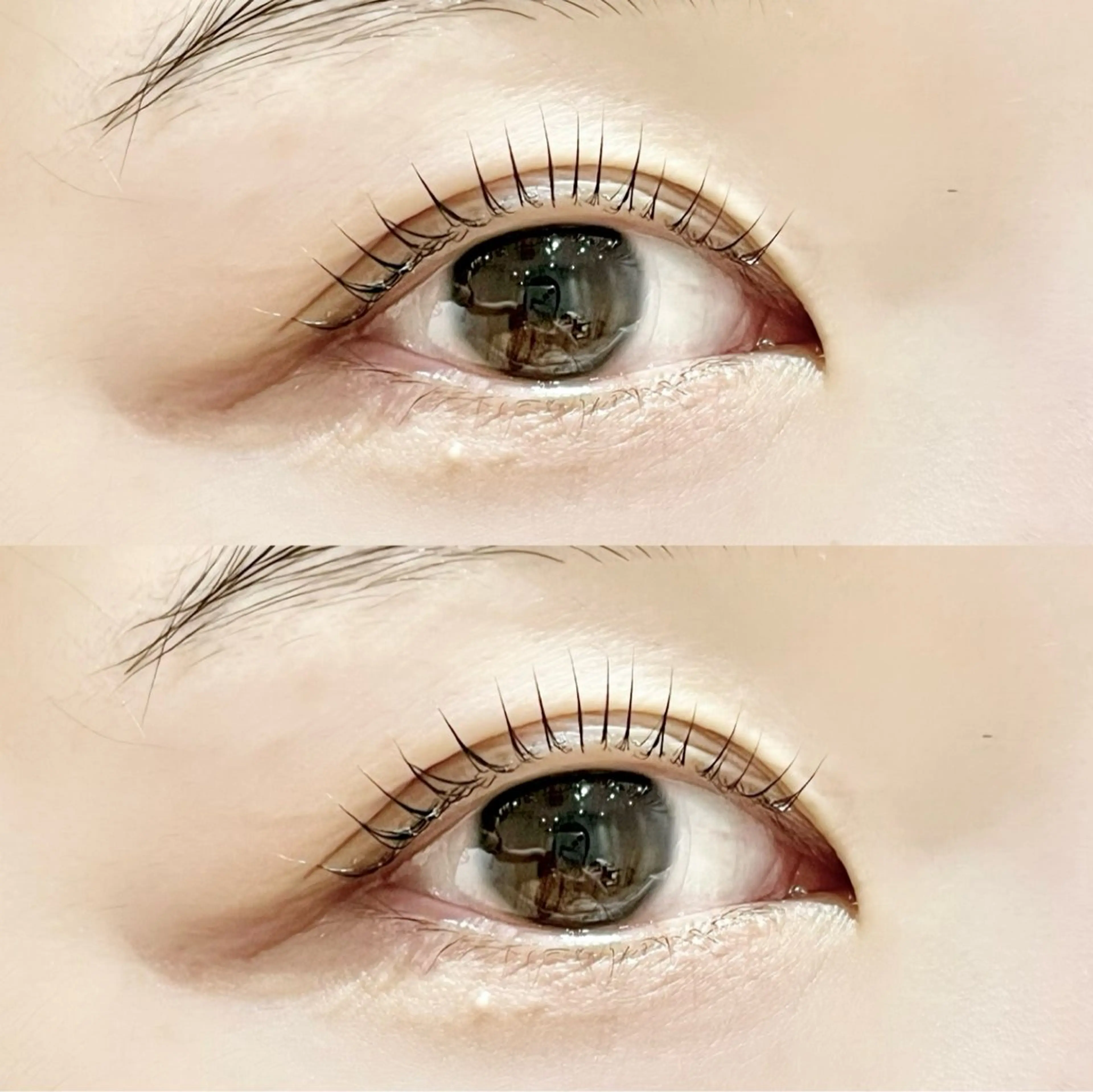 マツエク・マツパ 韓国風マツエク マツパ Zina 船橋南口/Amikaのマツエク・マツパデザイン