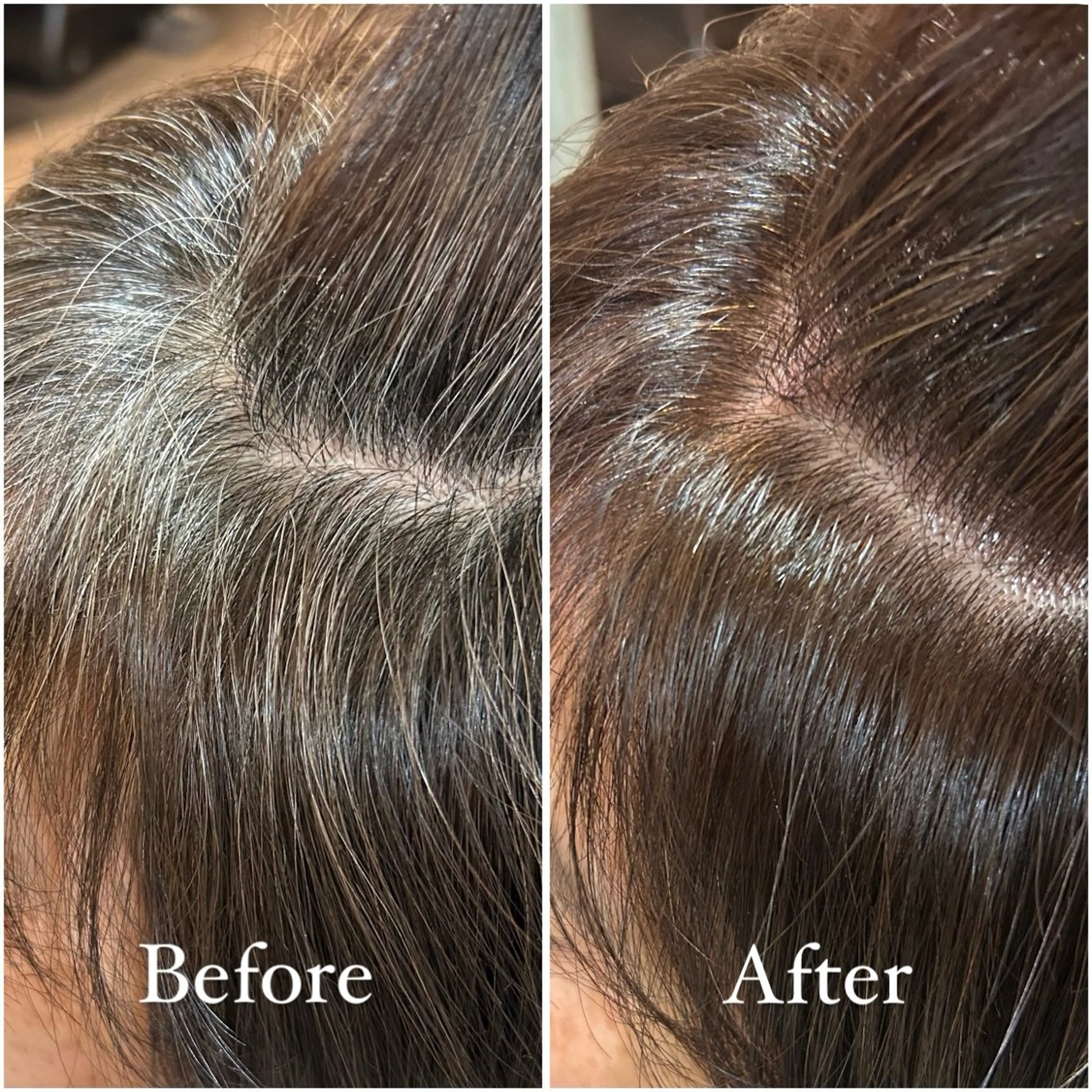 🤍 グレイカラー + トリートメント 🤍の写真