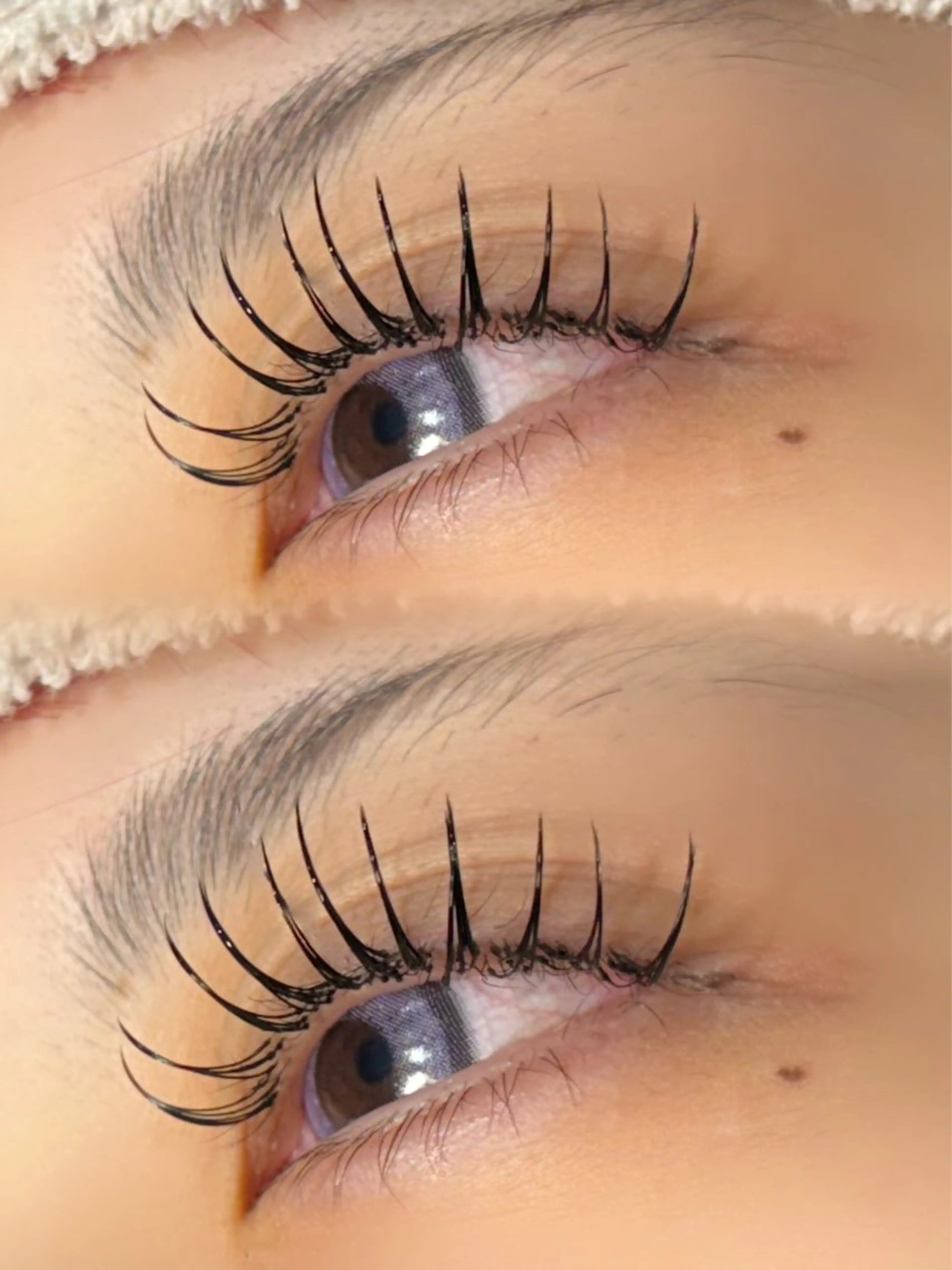 【ミニモ限定】🎀LEDフラットラッシュ120本🎀の写真