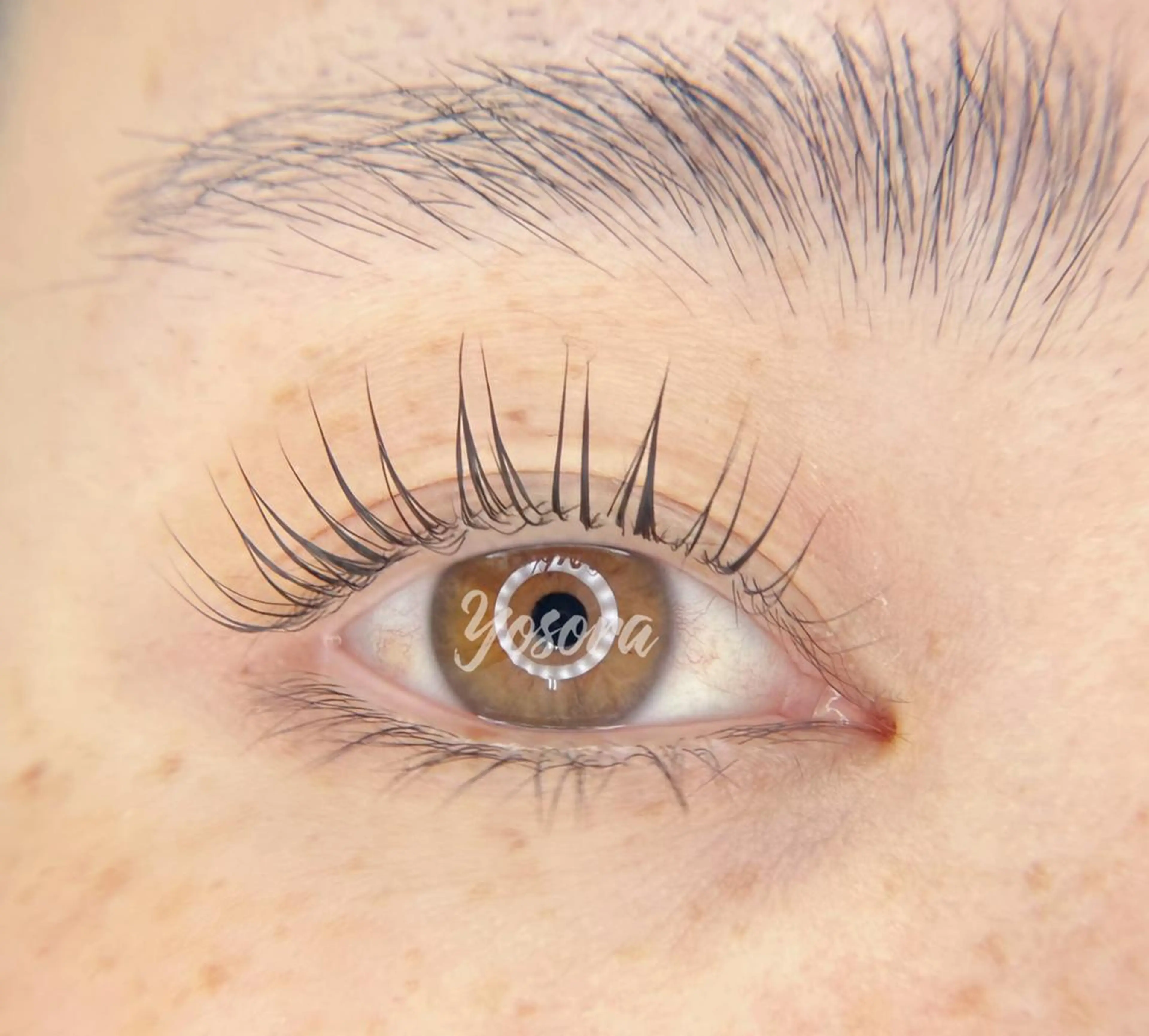 マツエク・マツパ パリジェンヌラッシュリフト マツパ Yosora salonのマツエク・マツパデザイン