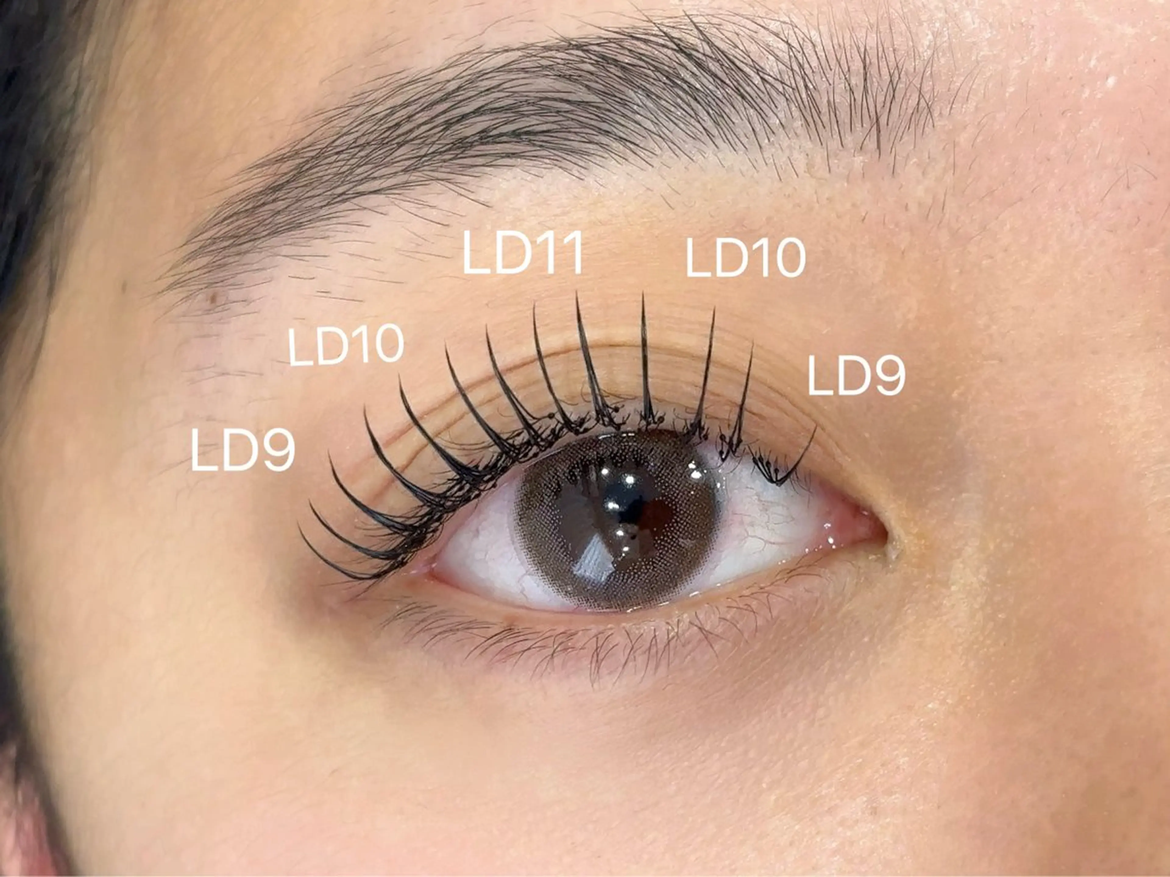 マツエク・マツパ マツエク edur所属・edur 梶並のマツエク・マツパデザイン