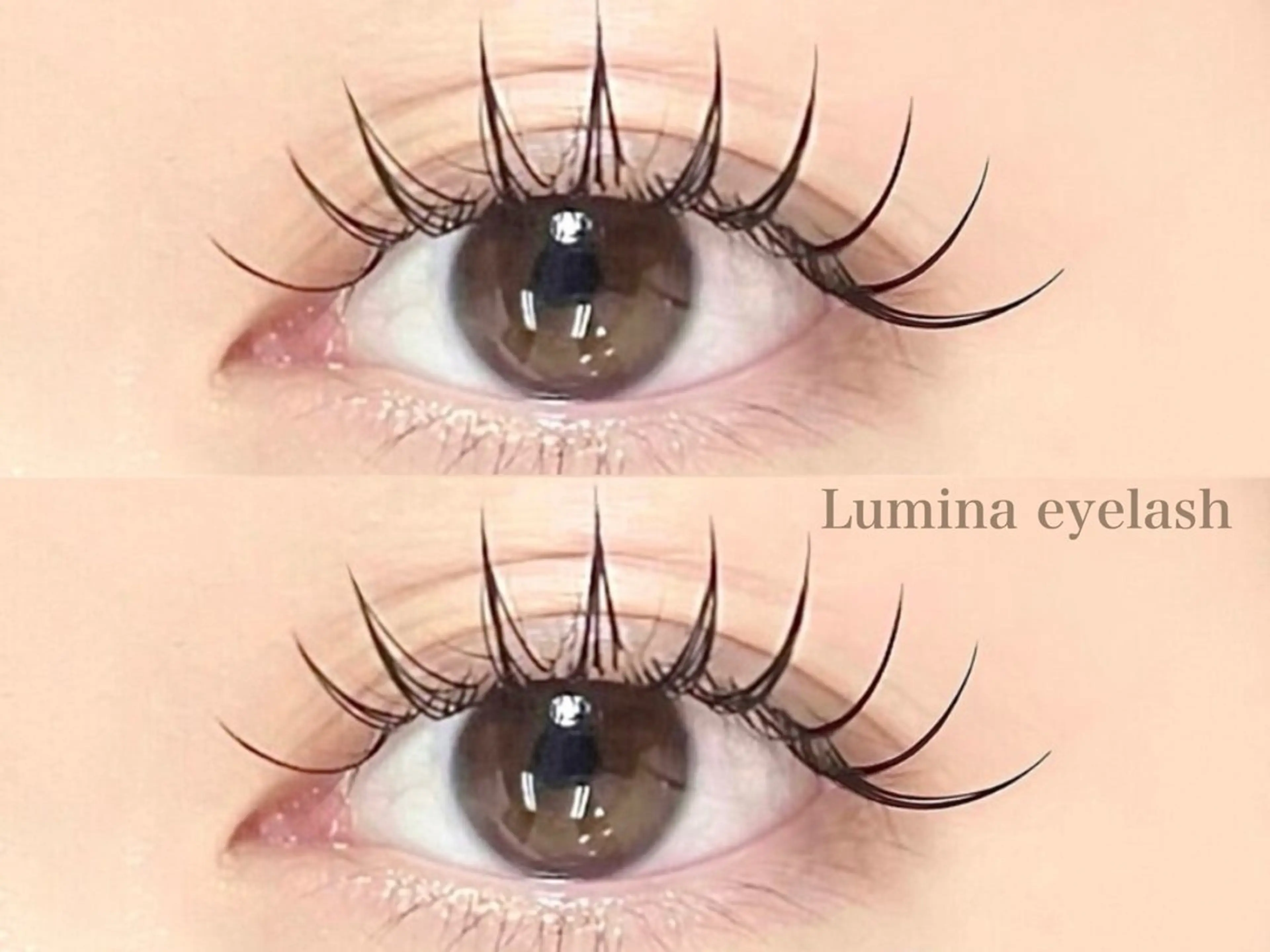 ★フラットラッシュ100本(オフ+アイシャンプー込) ¥6000の写真