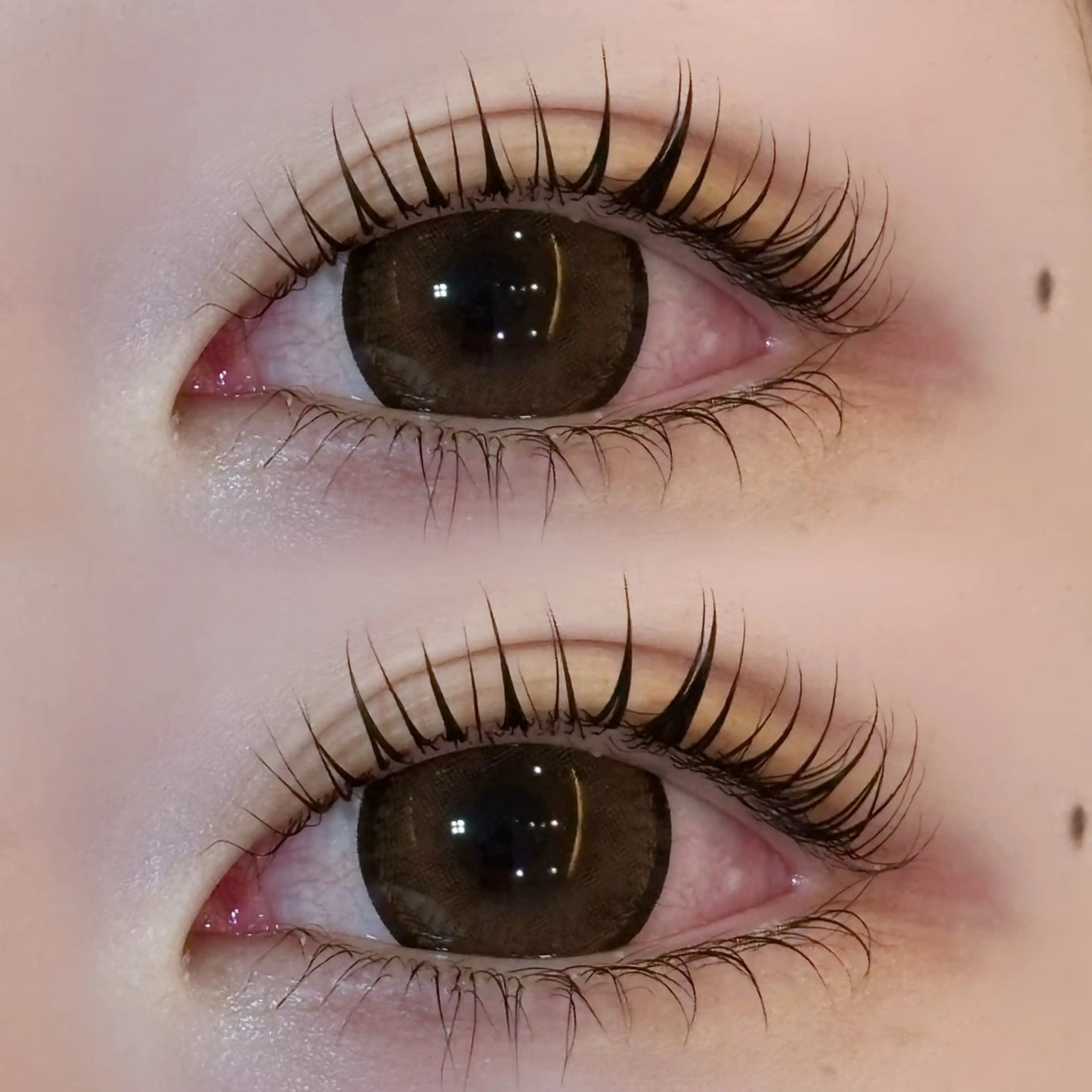 マツエク・マツパ リュープリエ所属・lieu plie riinaの眉毛・アイブロウイメージ