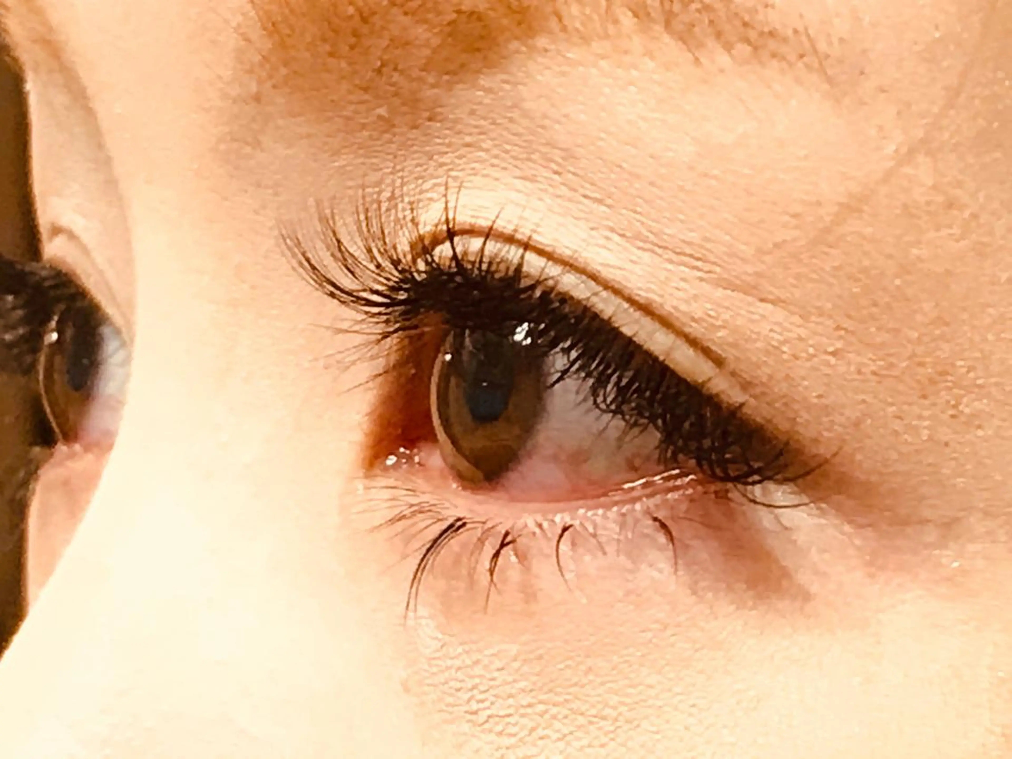 ボリュームラッシュ×フラットラッシュMIX！80束🐰カラー追加は＋600円の写真