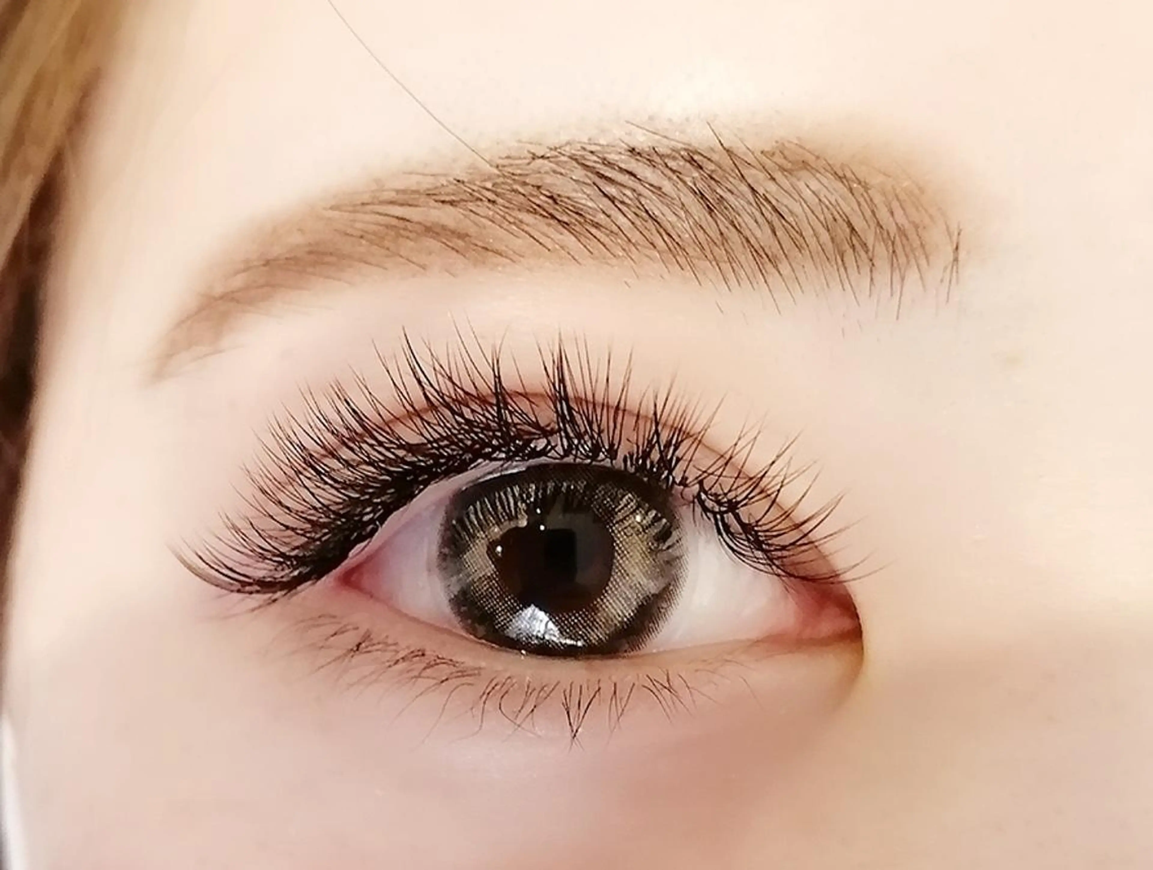 マツエク・マツパ マツエク Favori 田辺のマツエク・マツパデザイン