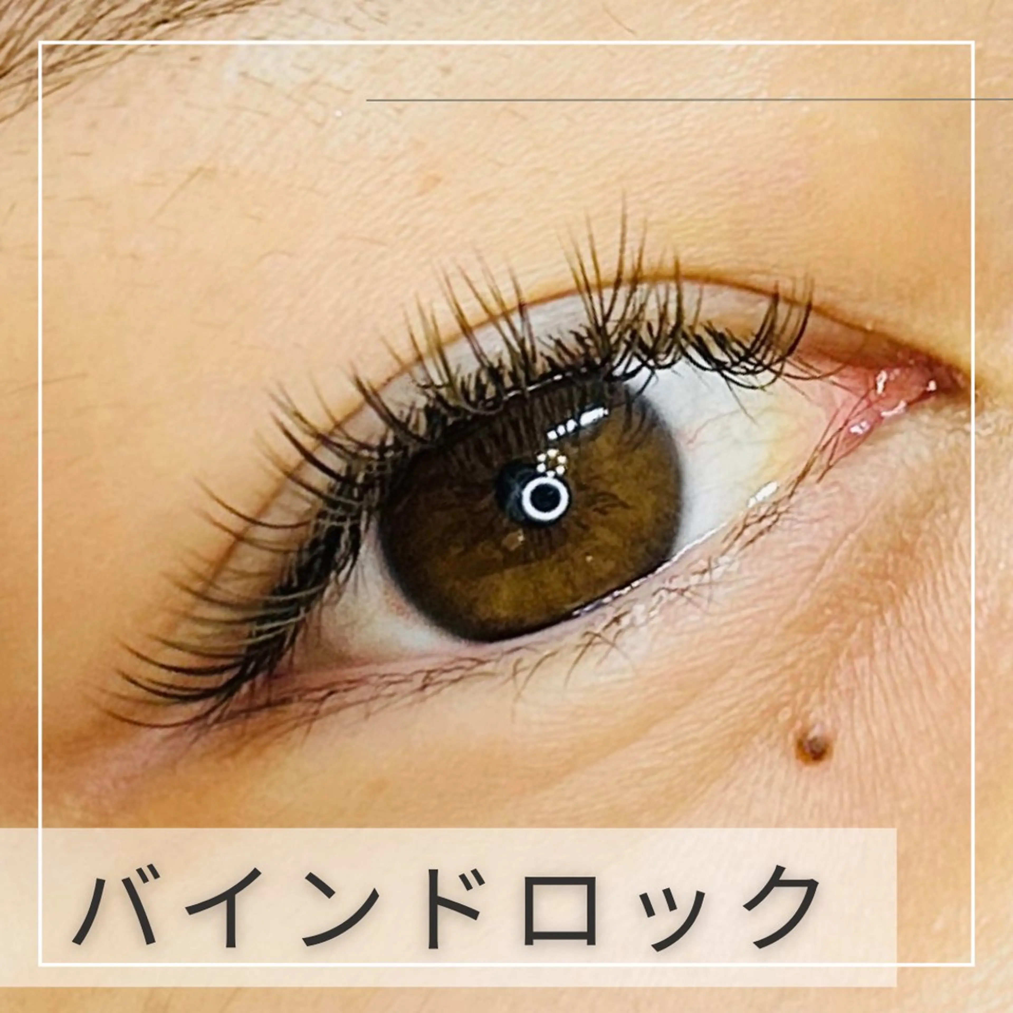 バインドロック60束★オフ込みの写真