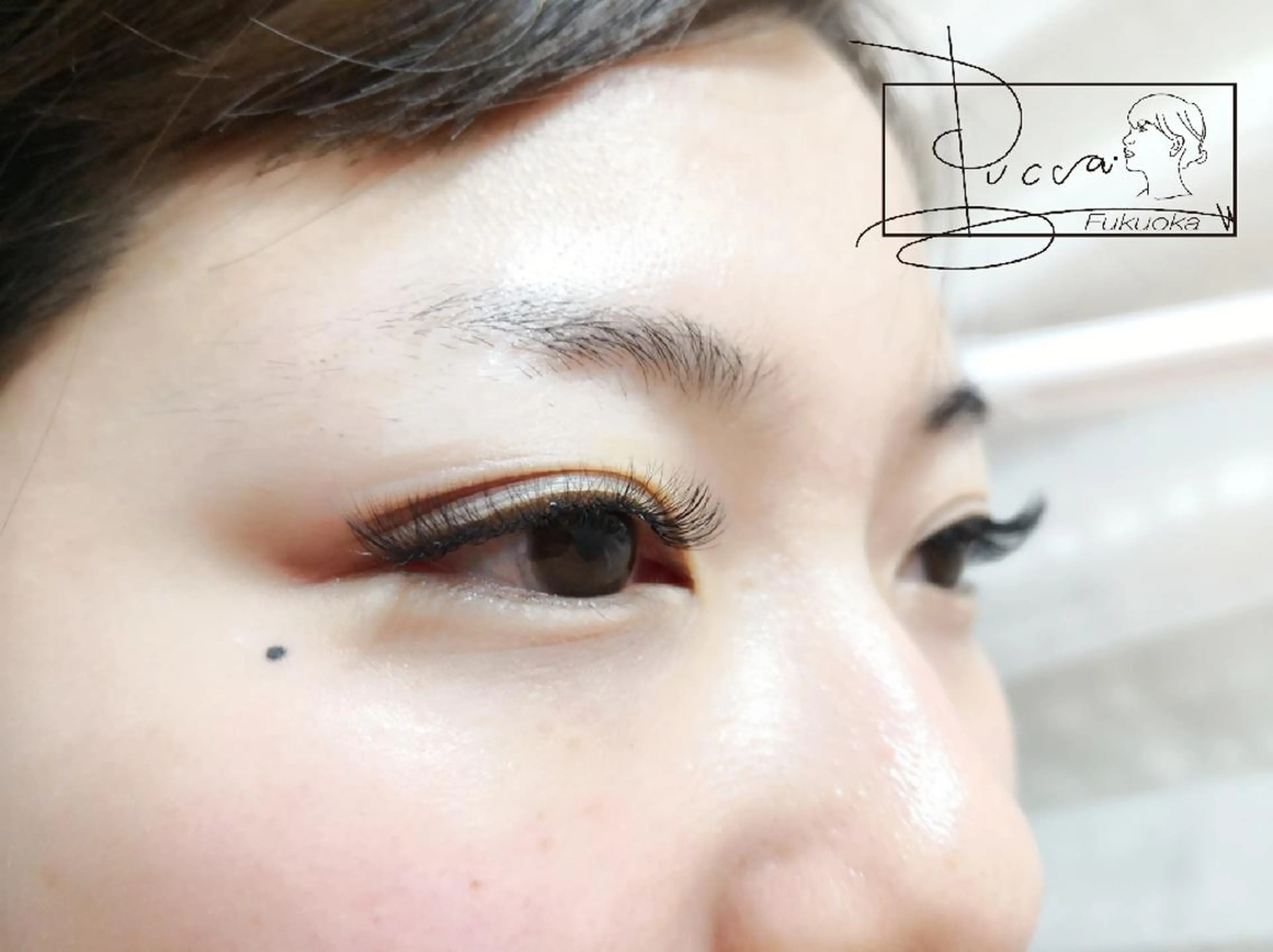 マツエク・マツパ Pucca Fukuokaのマツエク・マツパデザイン