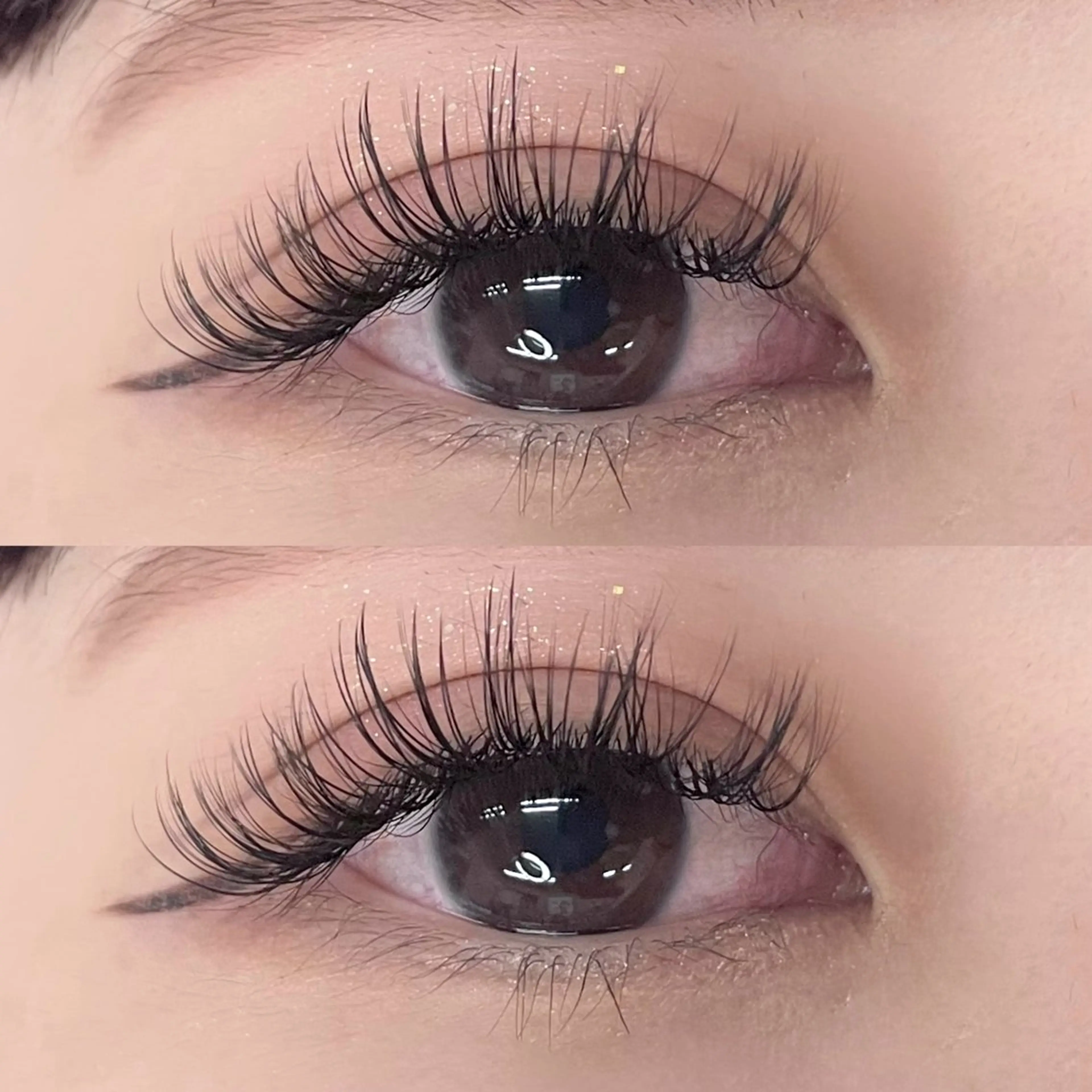 【🐰ボリュームラッシュ🐰】つけ放題✨ 他店付け足しok!の写真