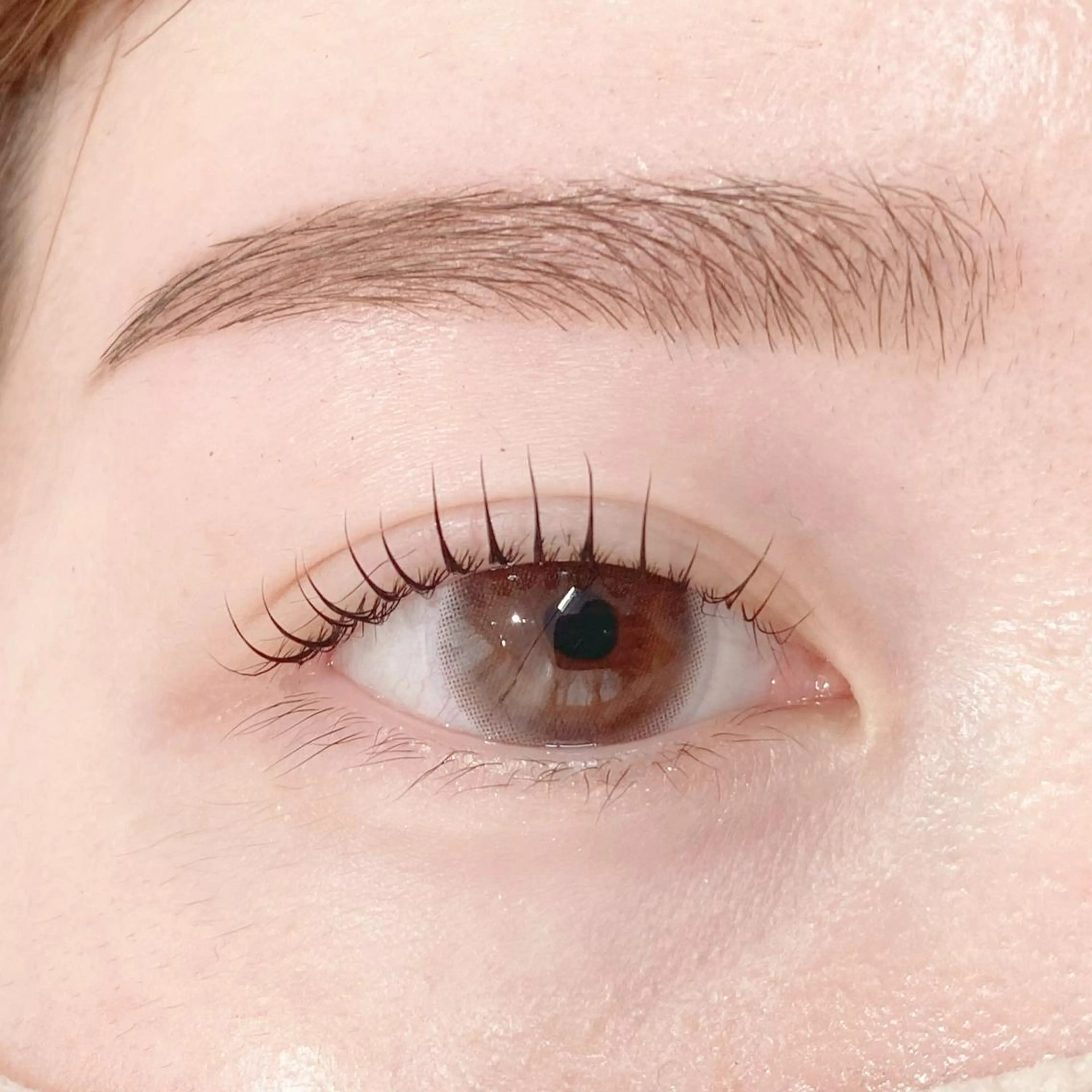 【人気MENU❤️‍🔥】ラッシュリフト＋アイブロウWAX🏷️の写真